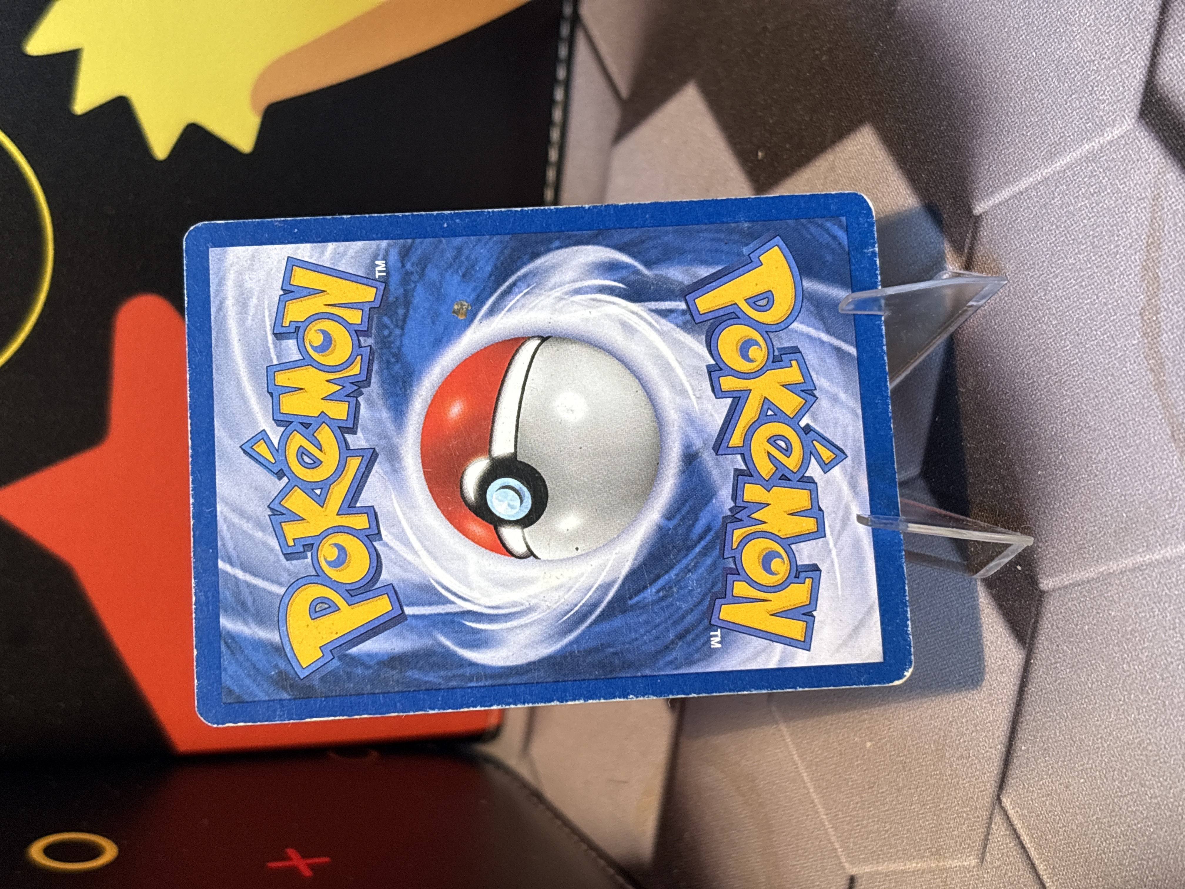 Totodile foto 2