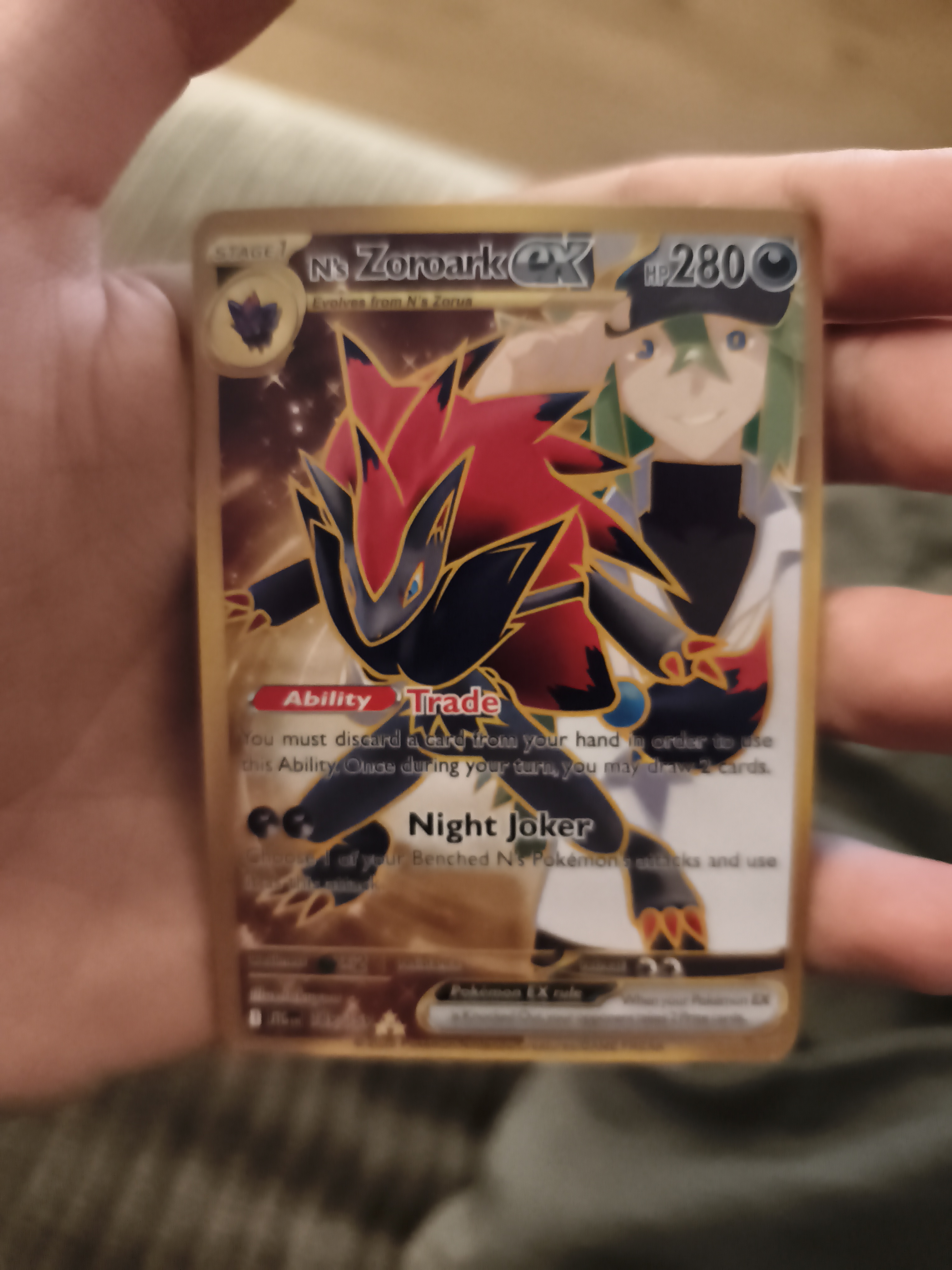 N's Zoroark ex foto 1