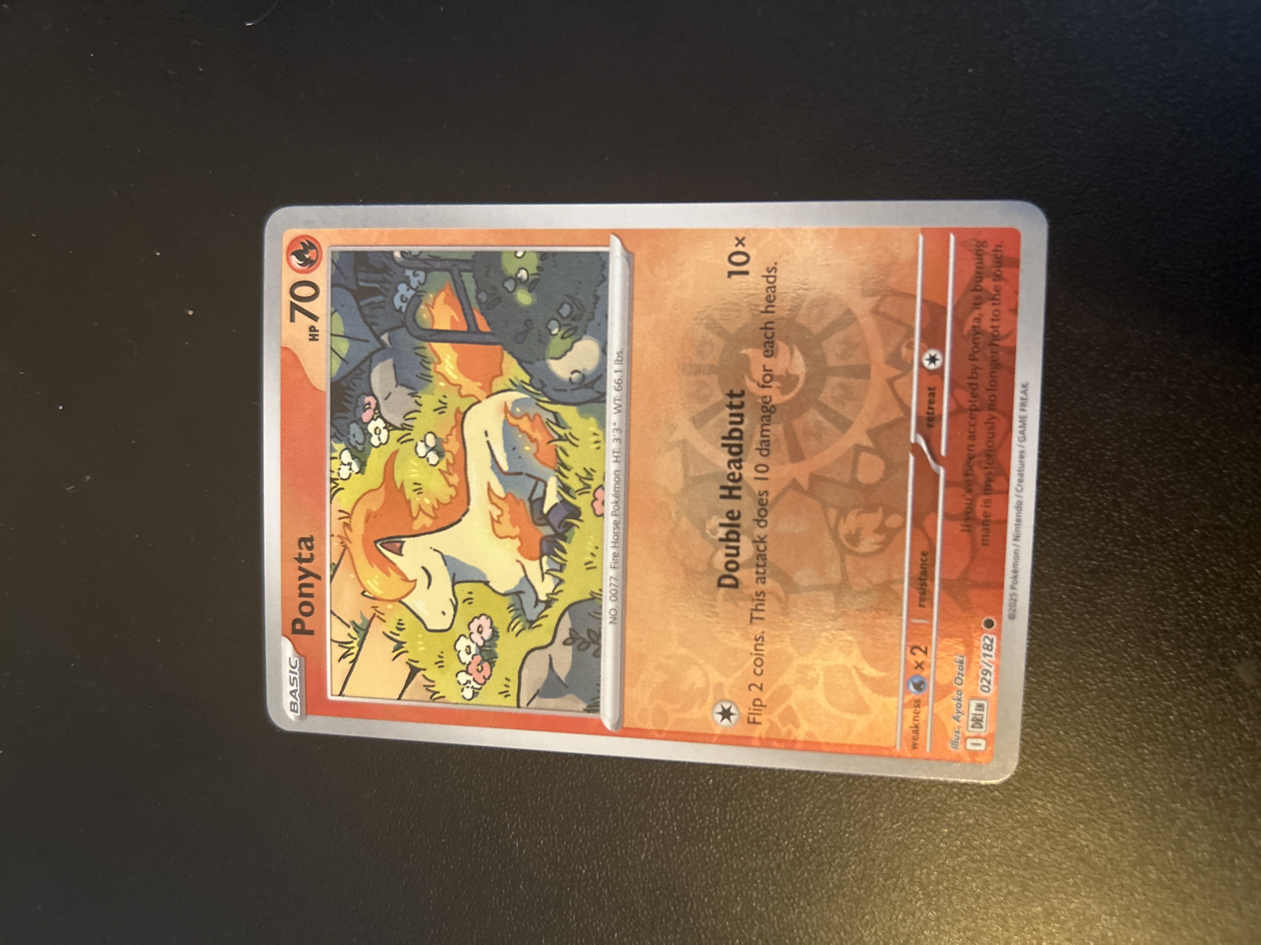 Ponyta foto 1