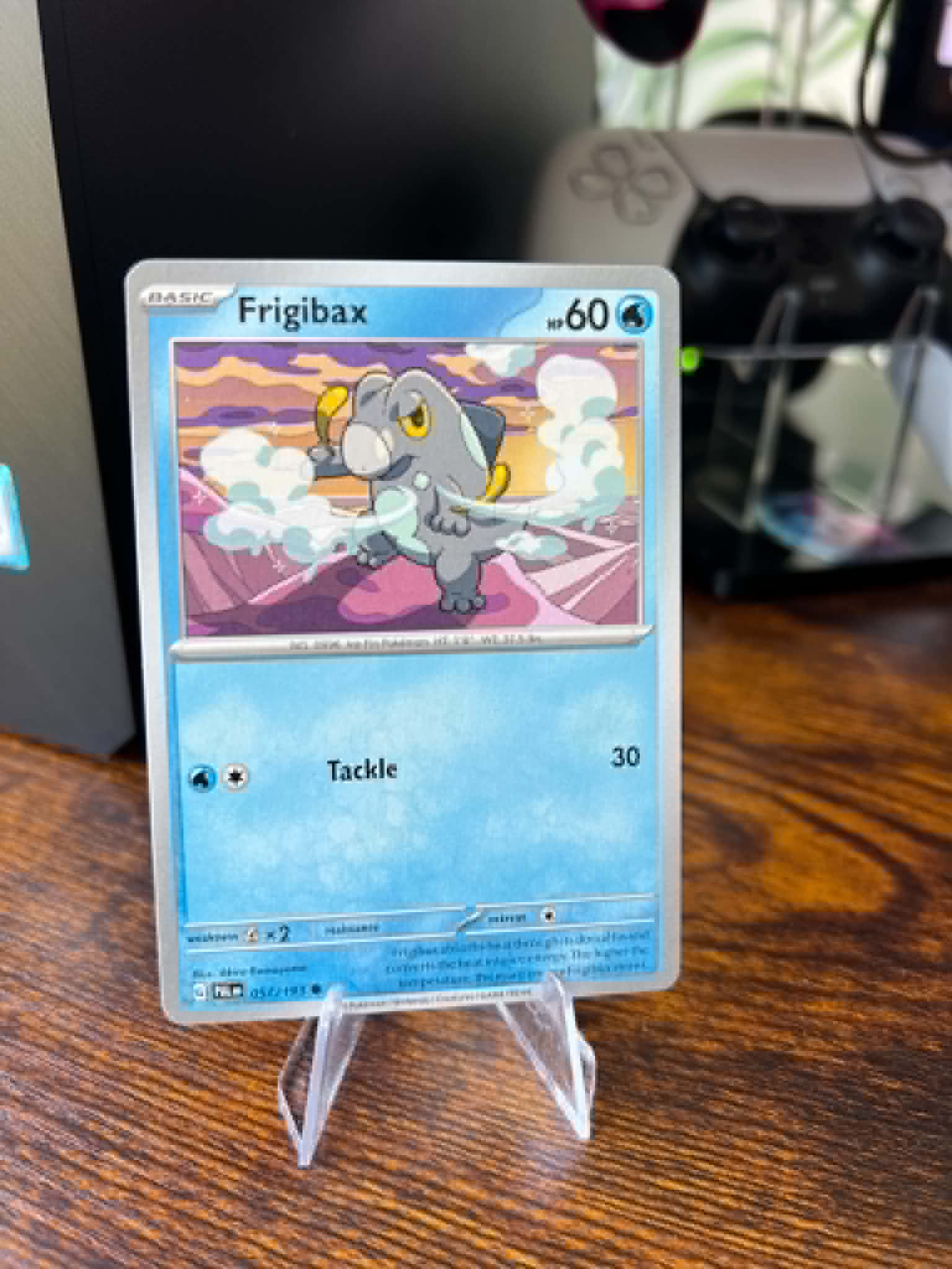 Frigibax