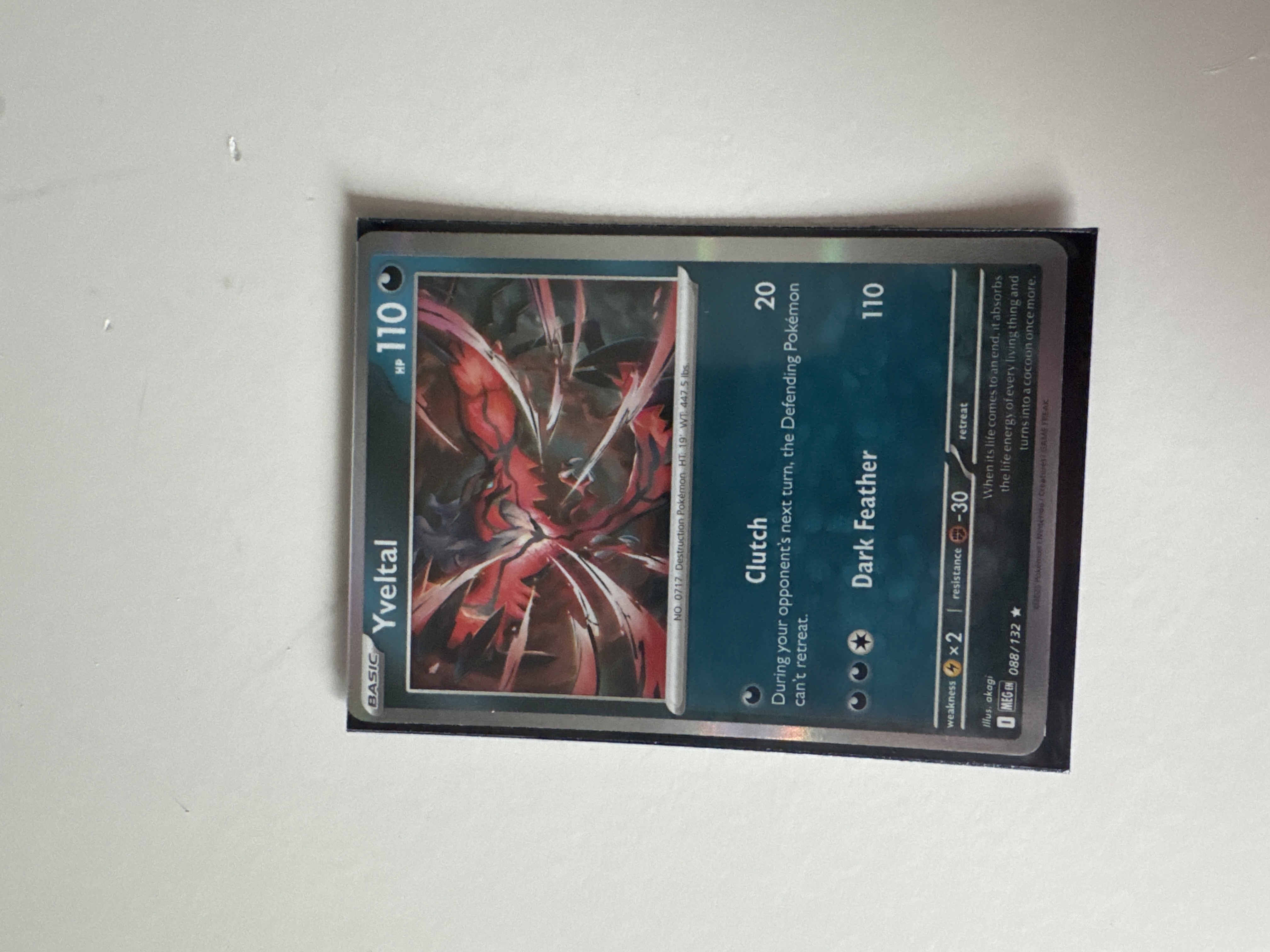 Yveltal foto 1