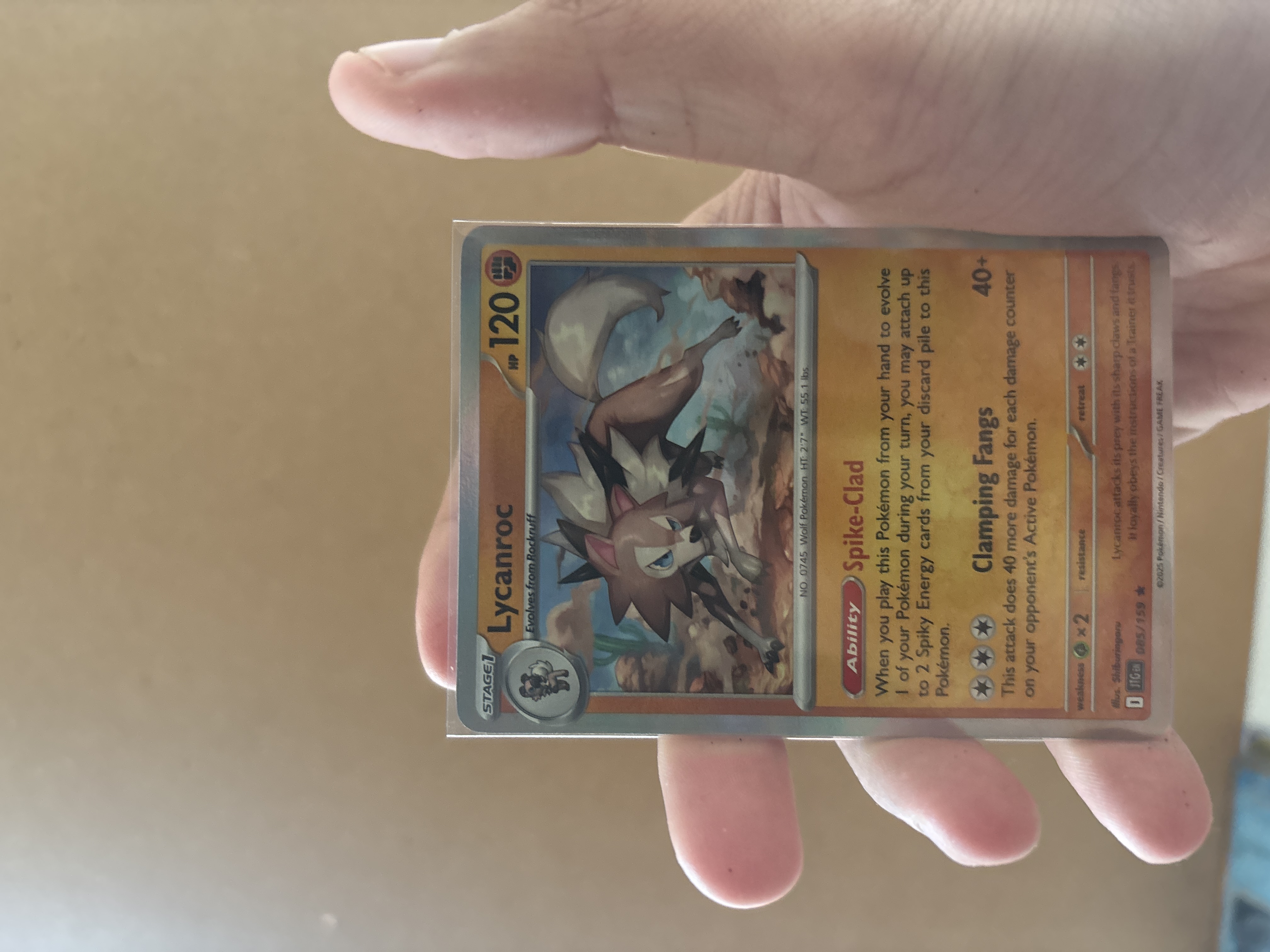 Lycanroc foto 1