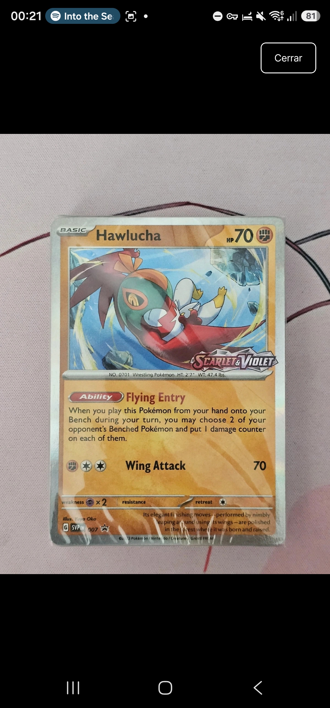 Hawlucha foto 1