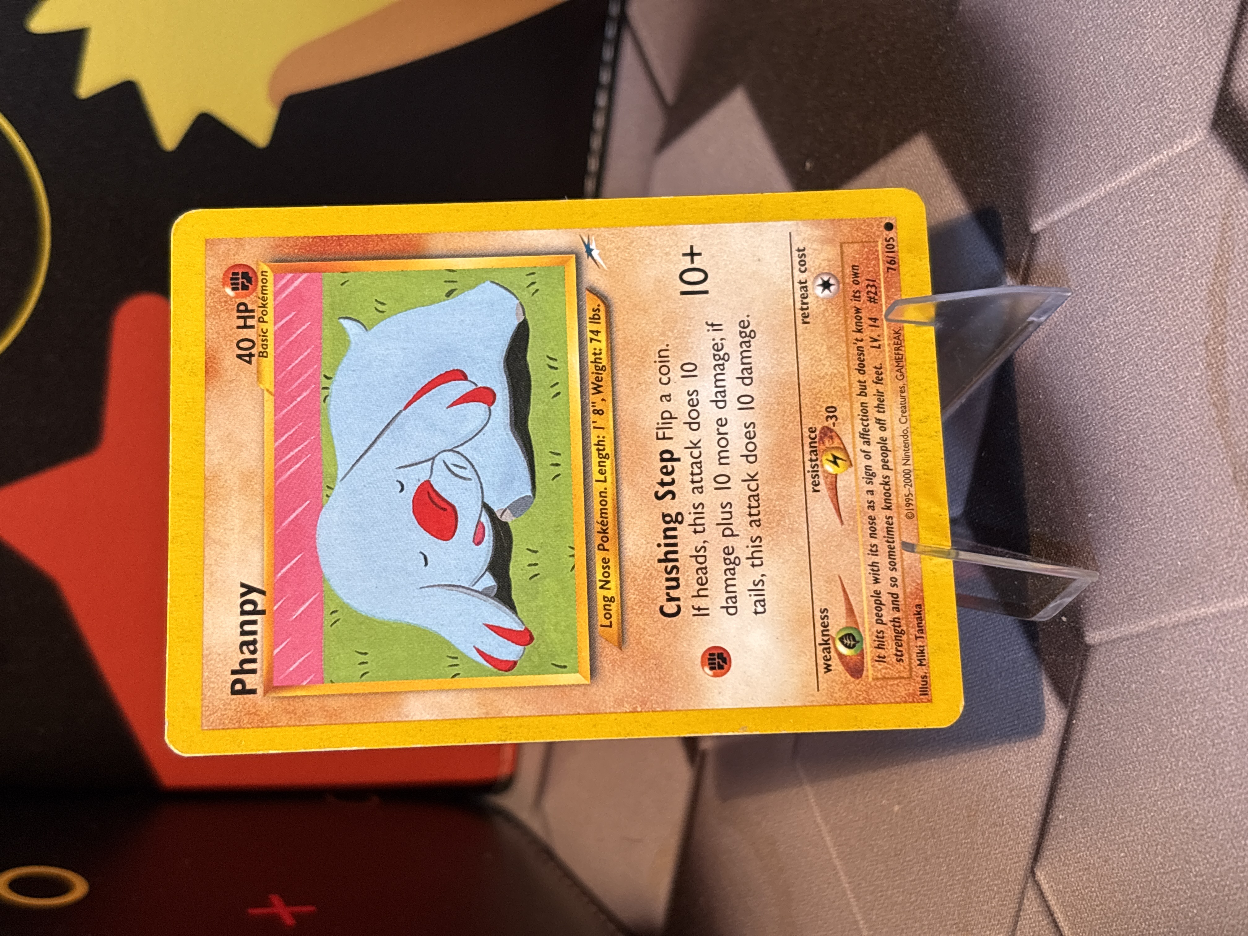 Phanpy foto 1