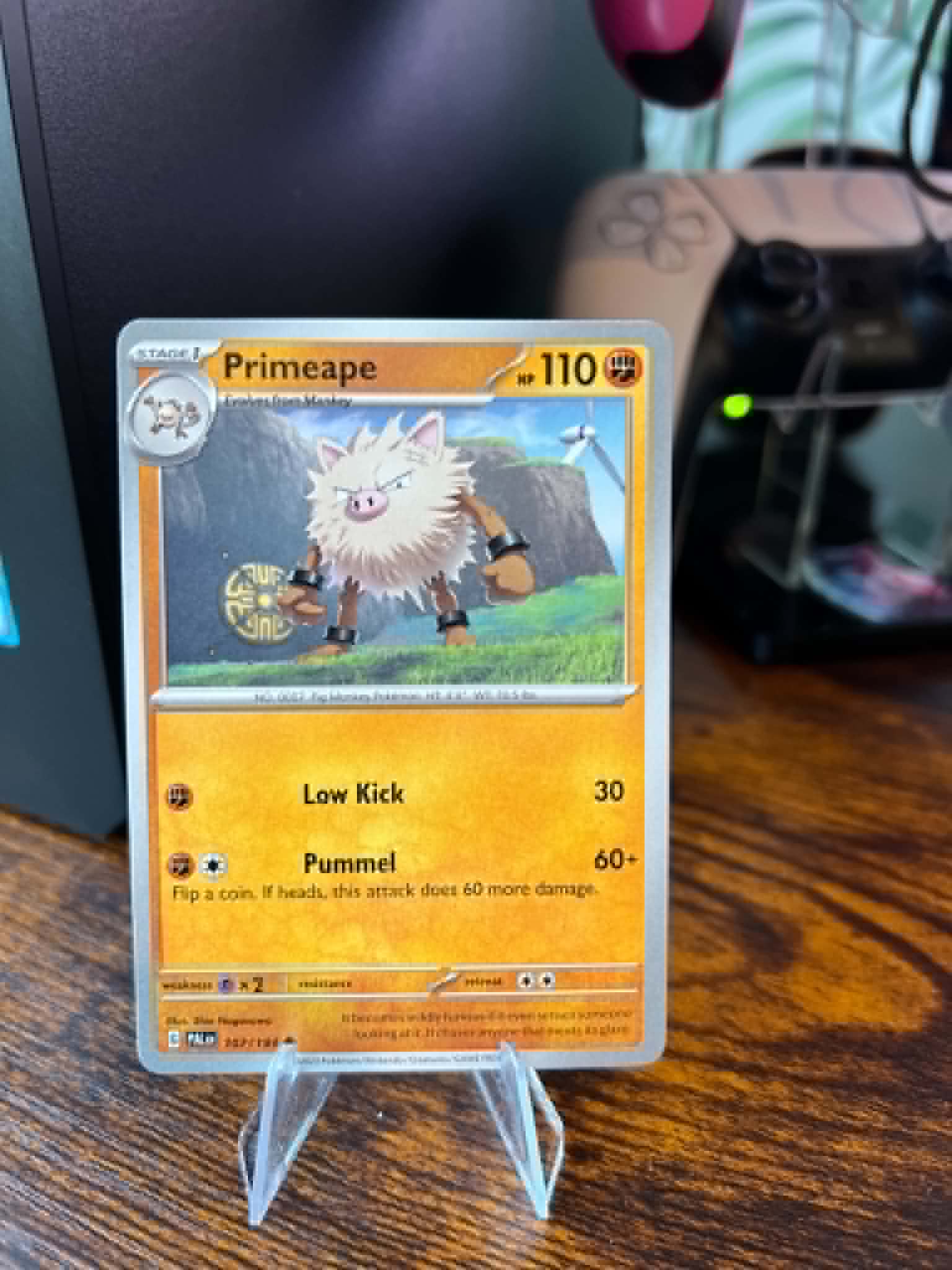 Primeape foto 1