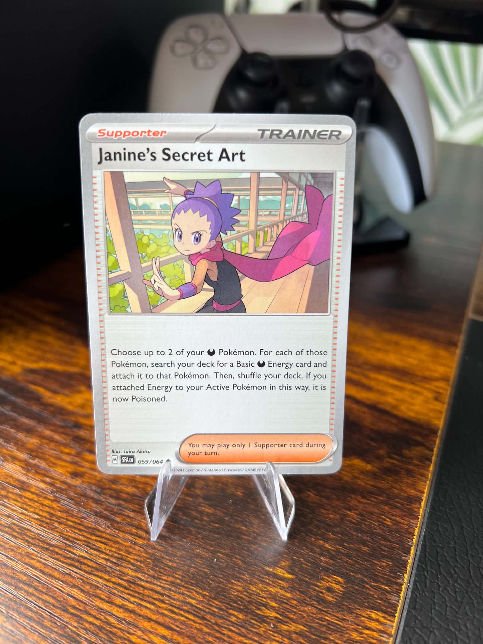 Janine's Secret Art