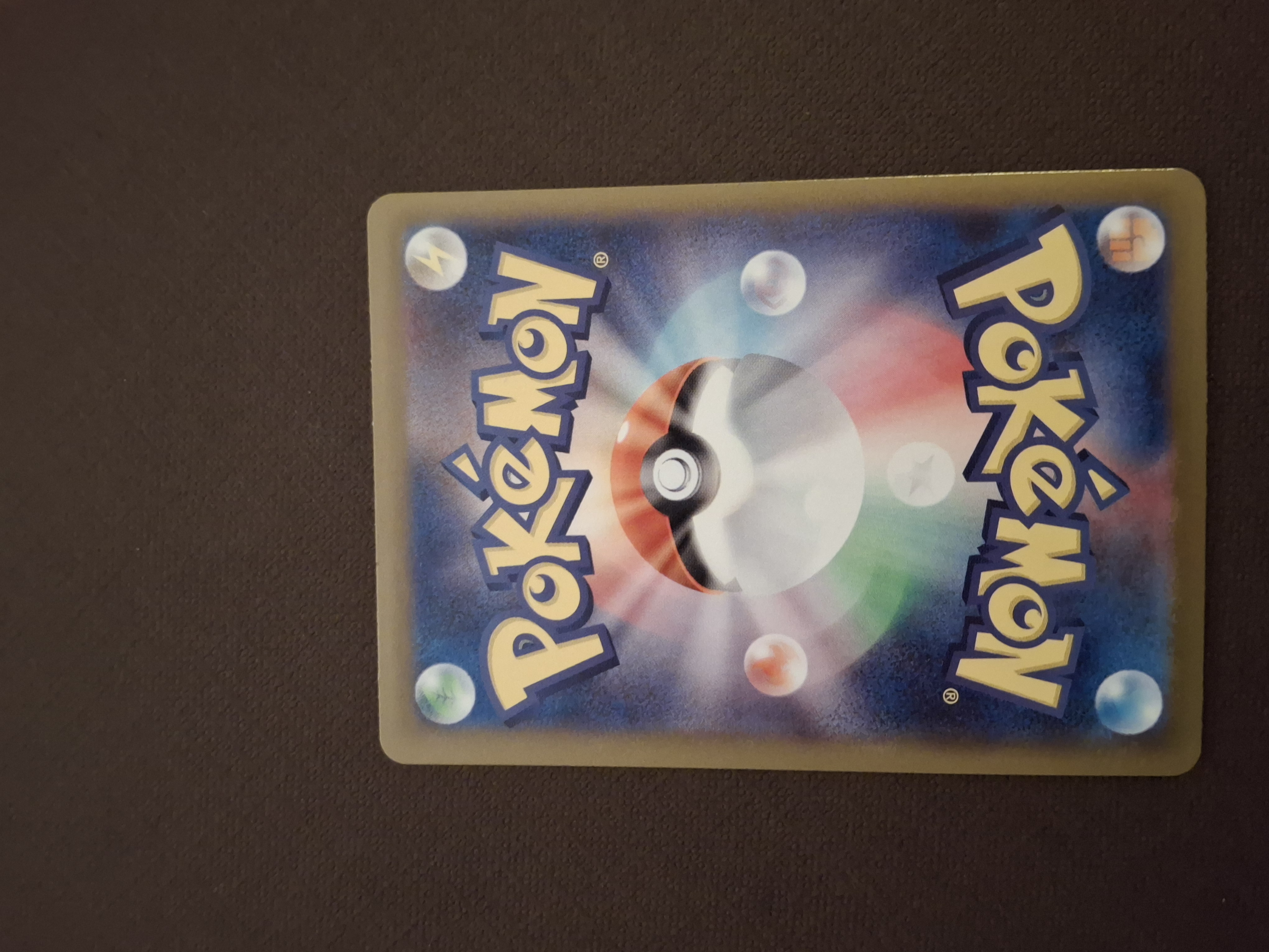 Raticate foto 2