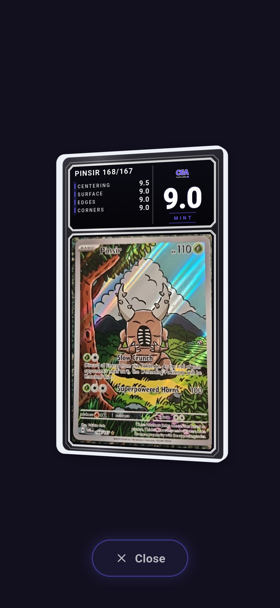 Pinsir foto 3