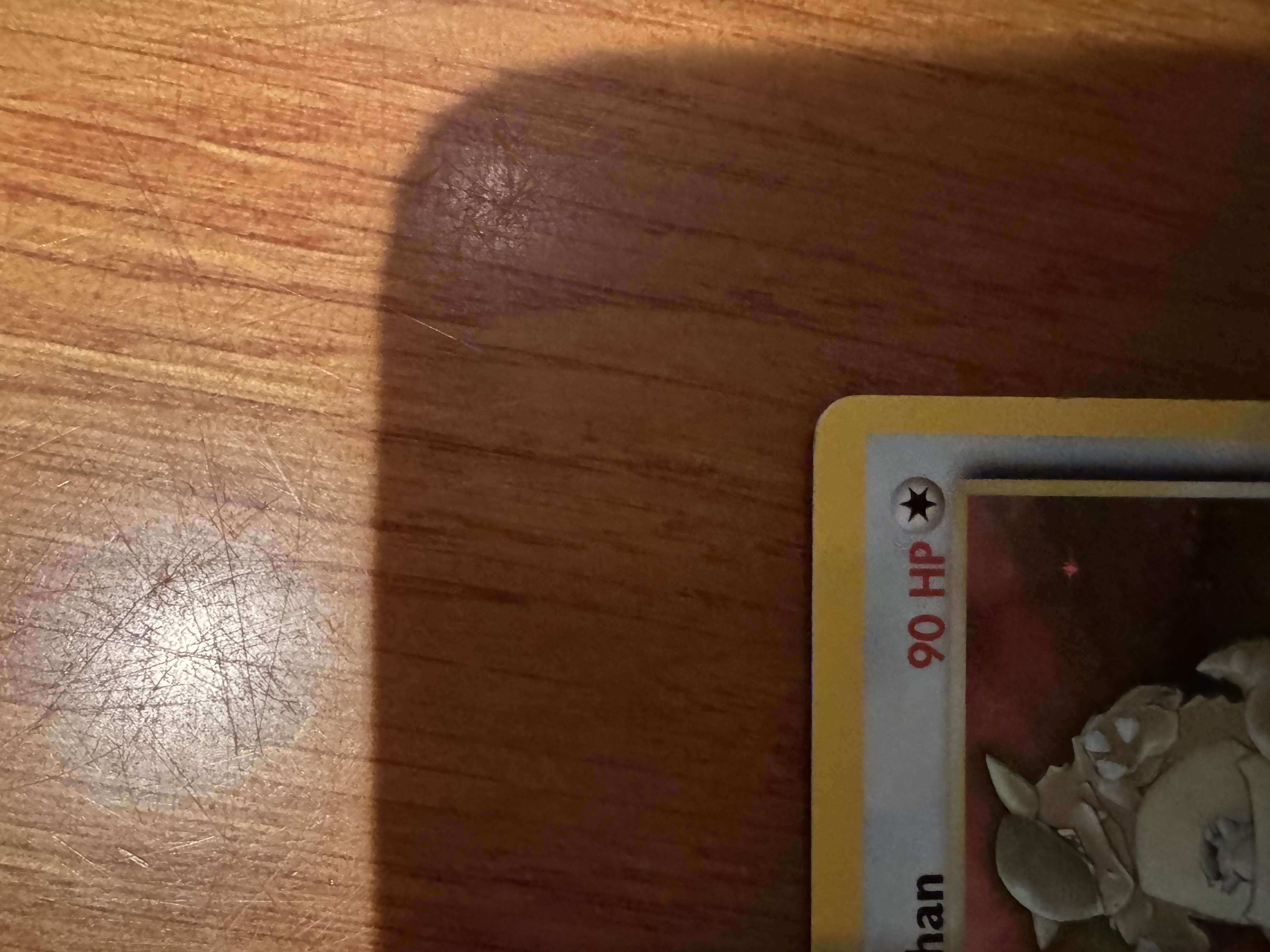 Kangaskhan foto 10