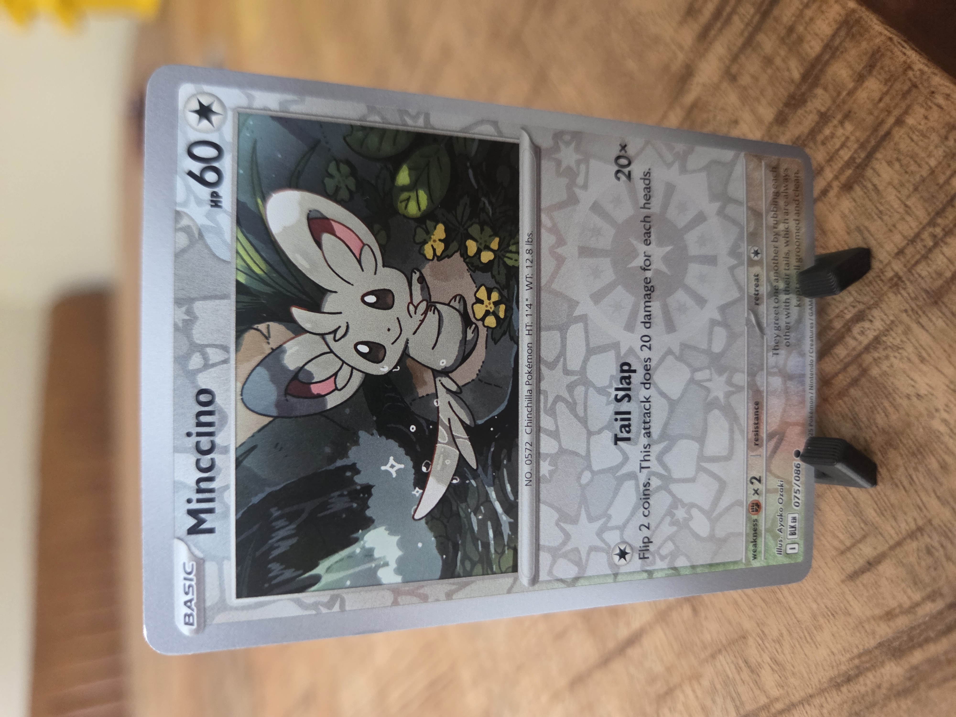 Minccino