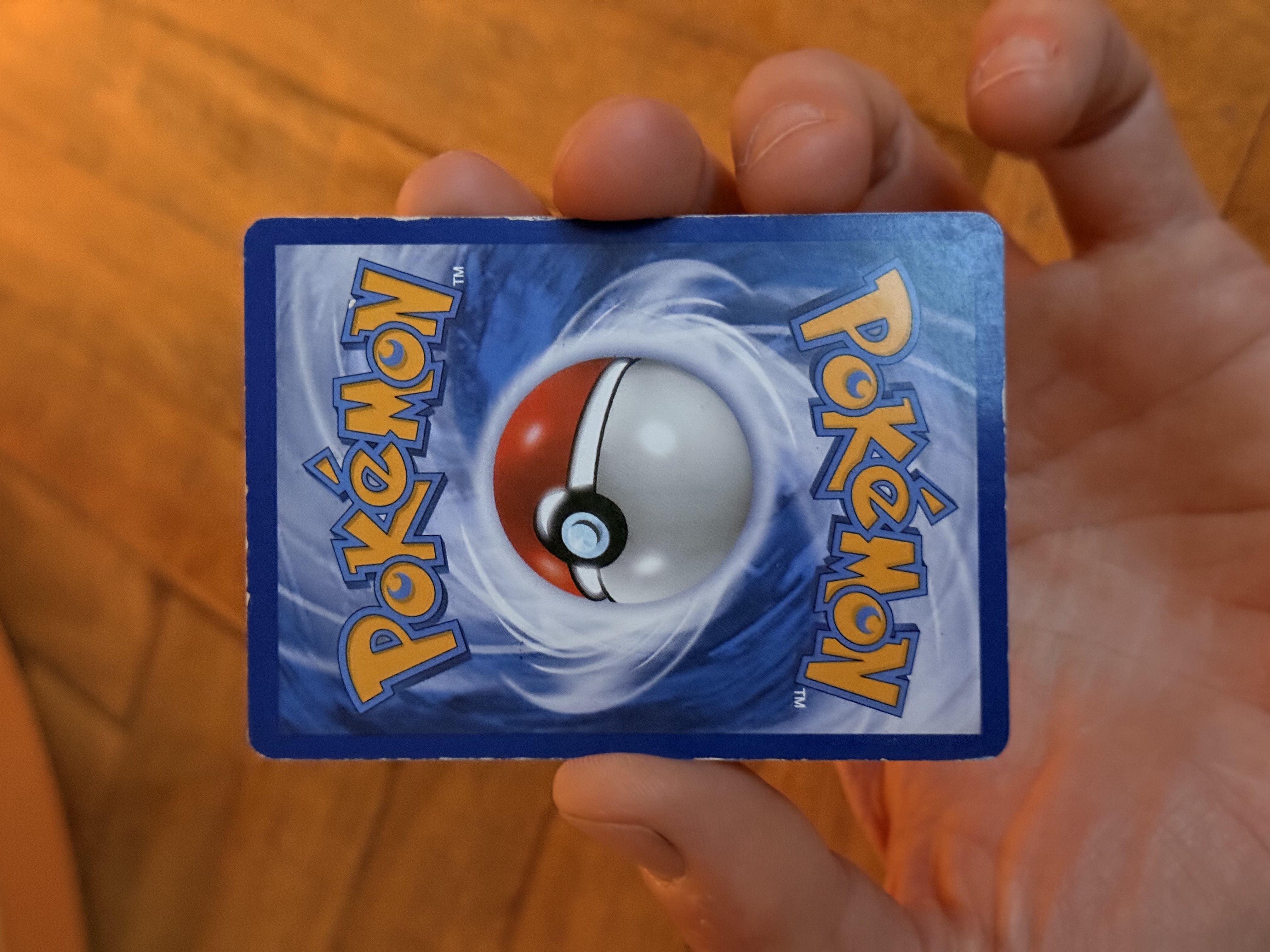 Garchomp foto 2