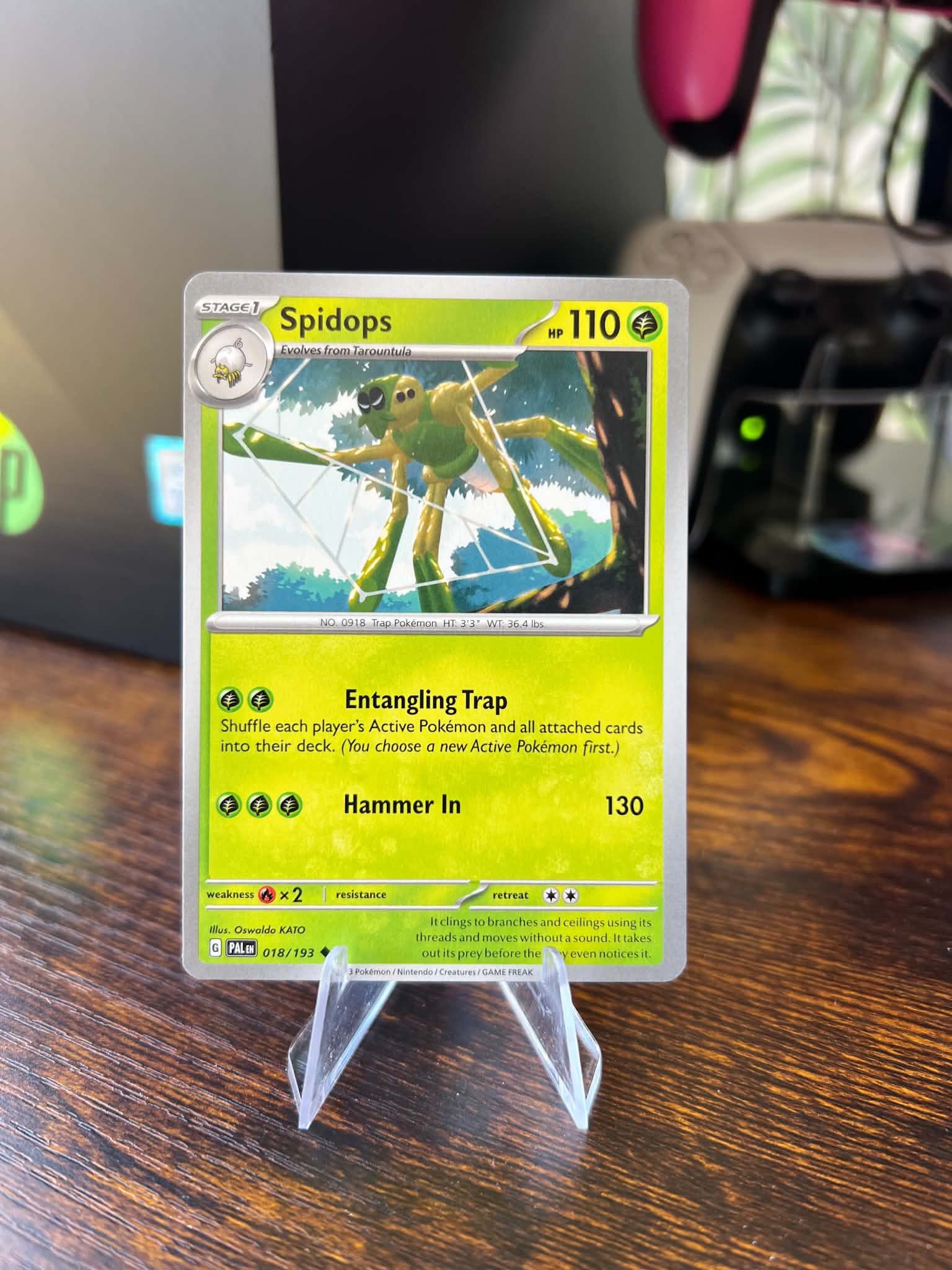 Spidops