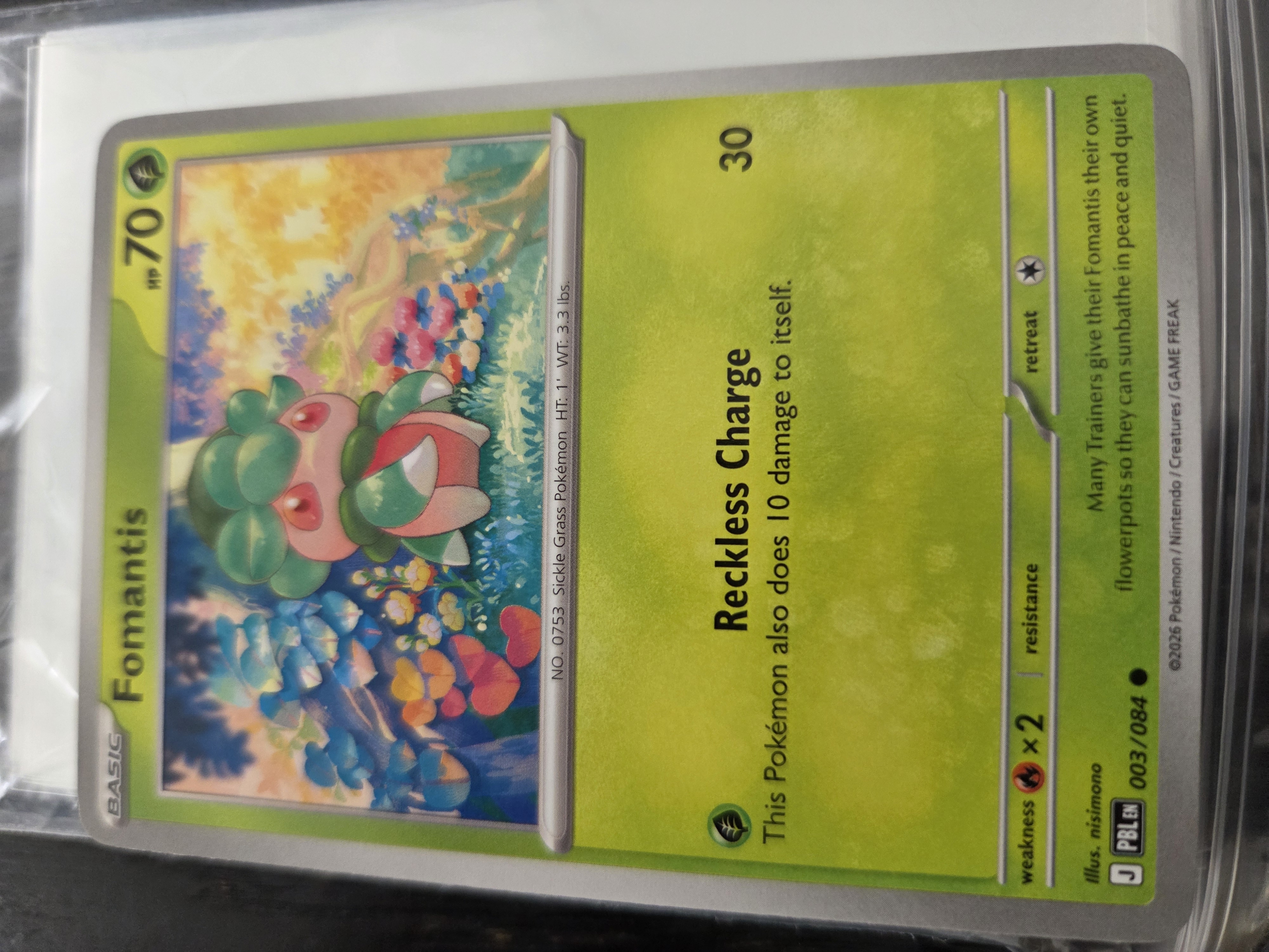 Fomantis foto 1