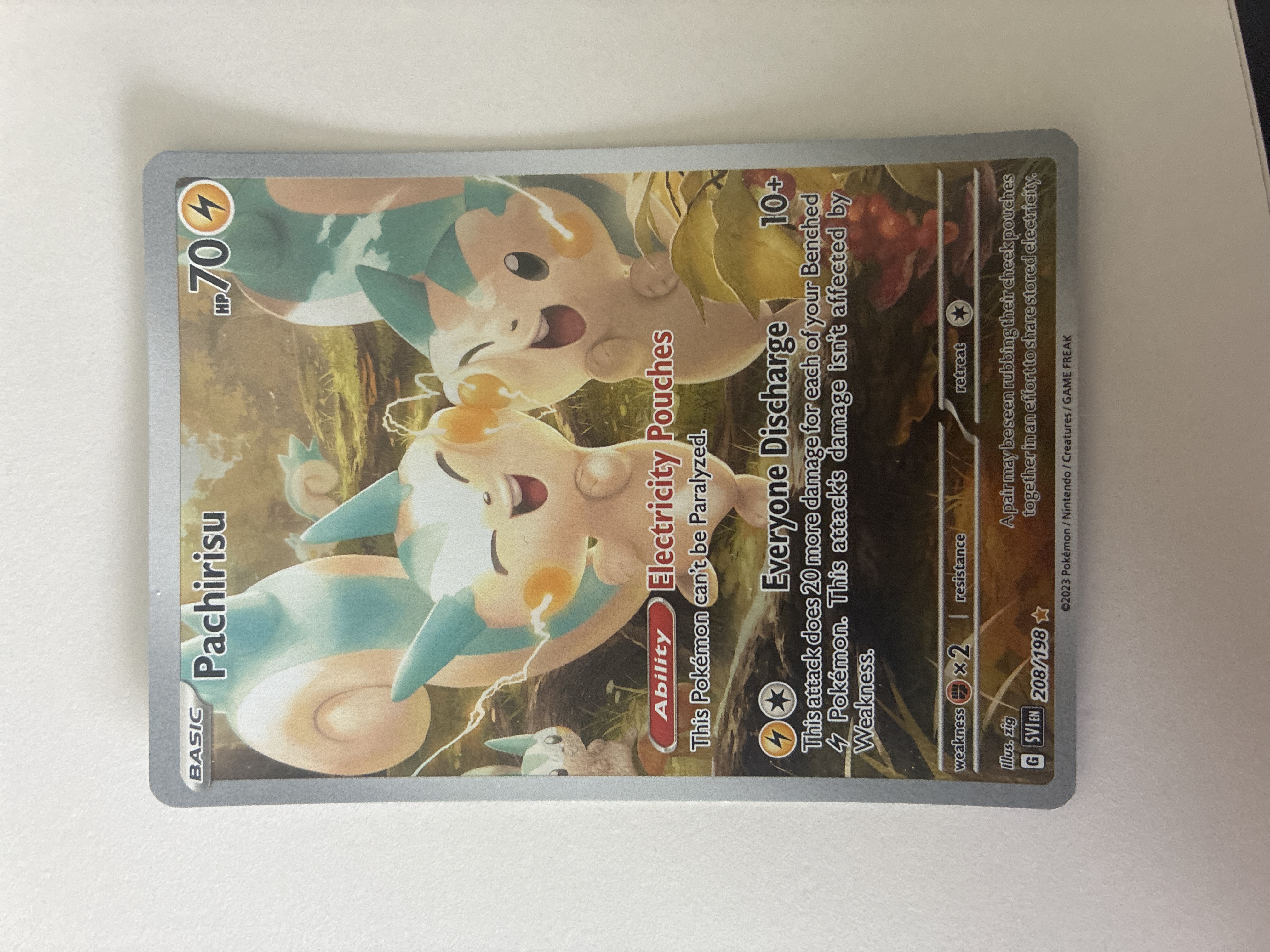 Pachirisu foto 1