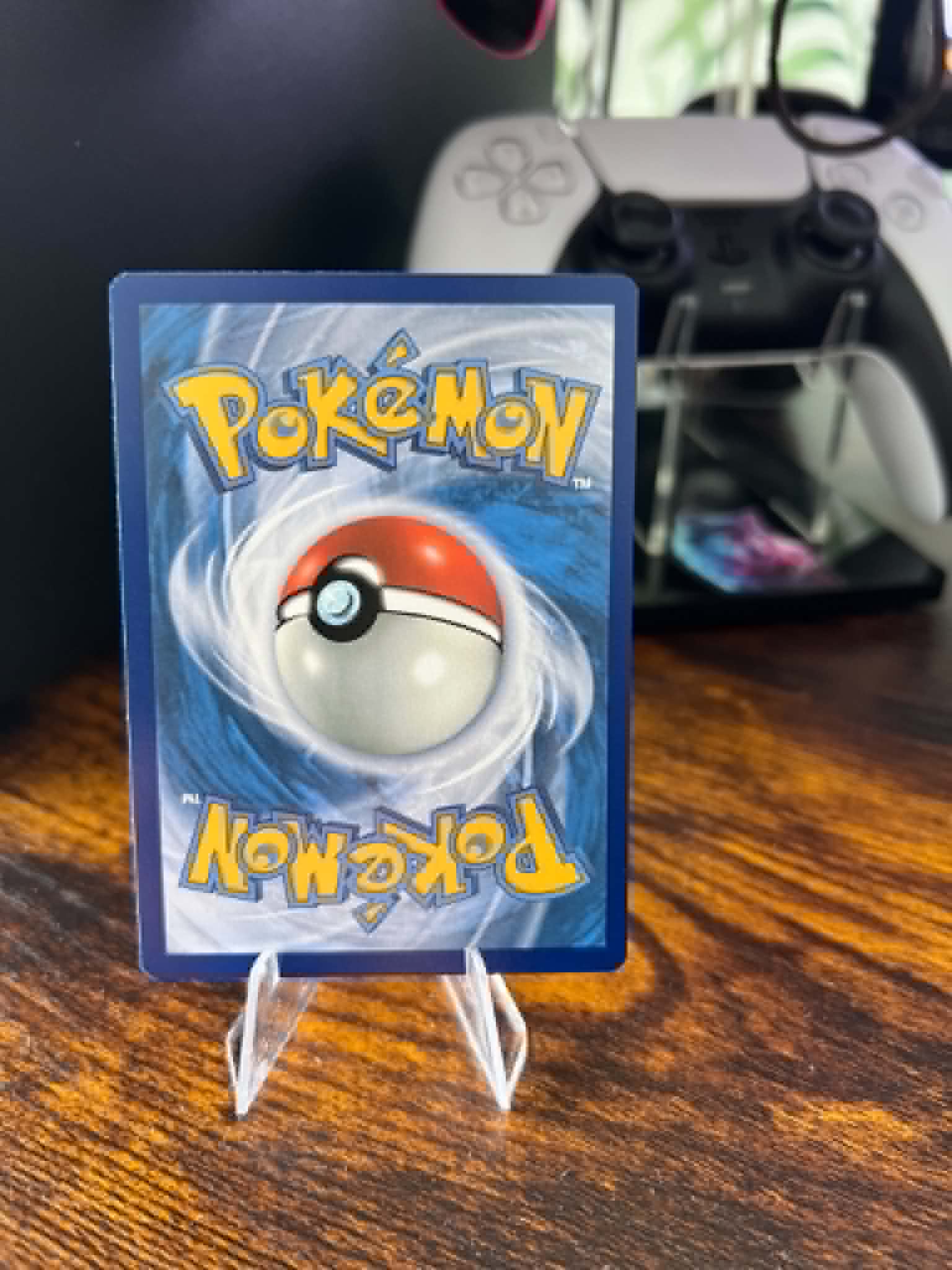 Plusle foto 2