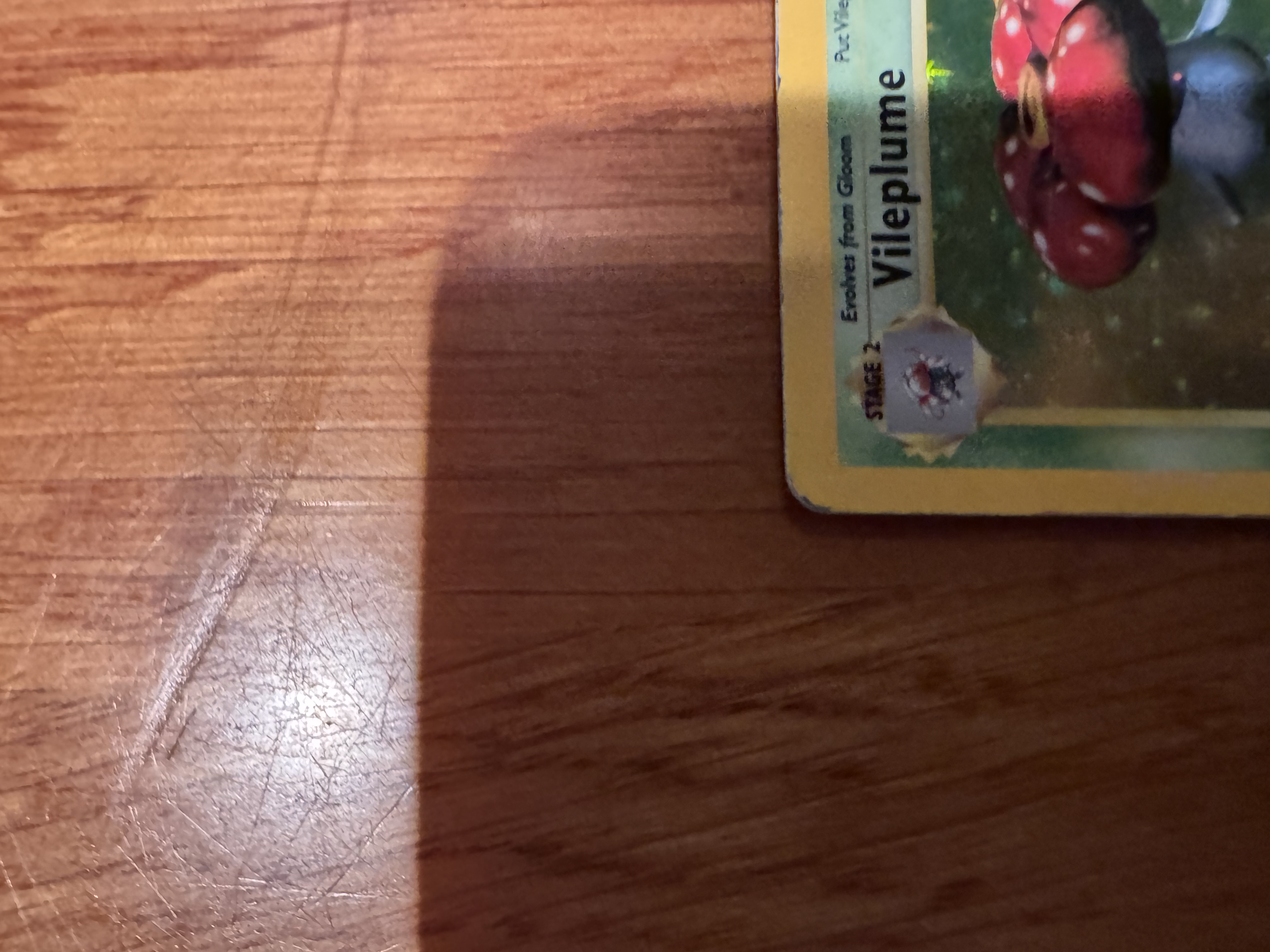 Vileplume foto 7