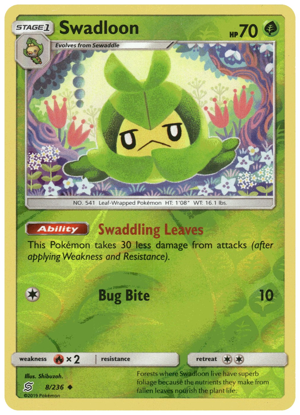 Swadloon foto 1