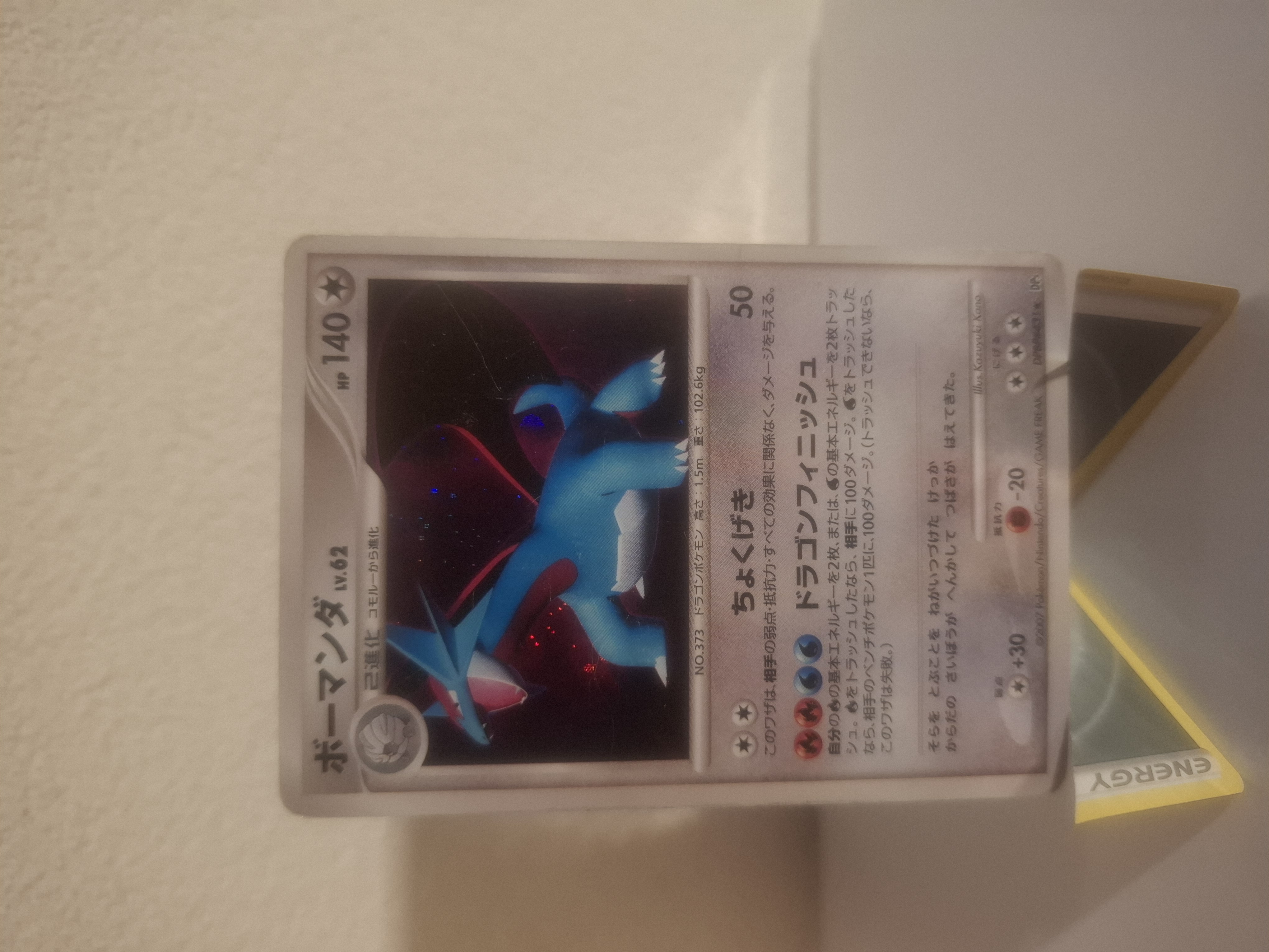 Salamence foto 1