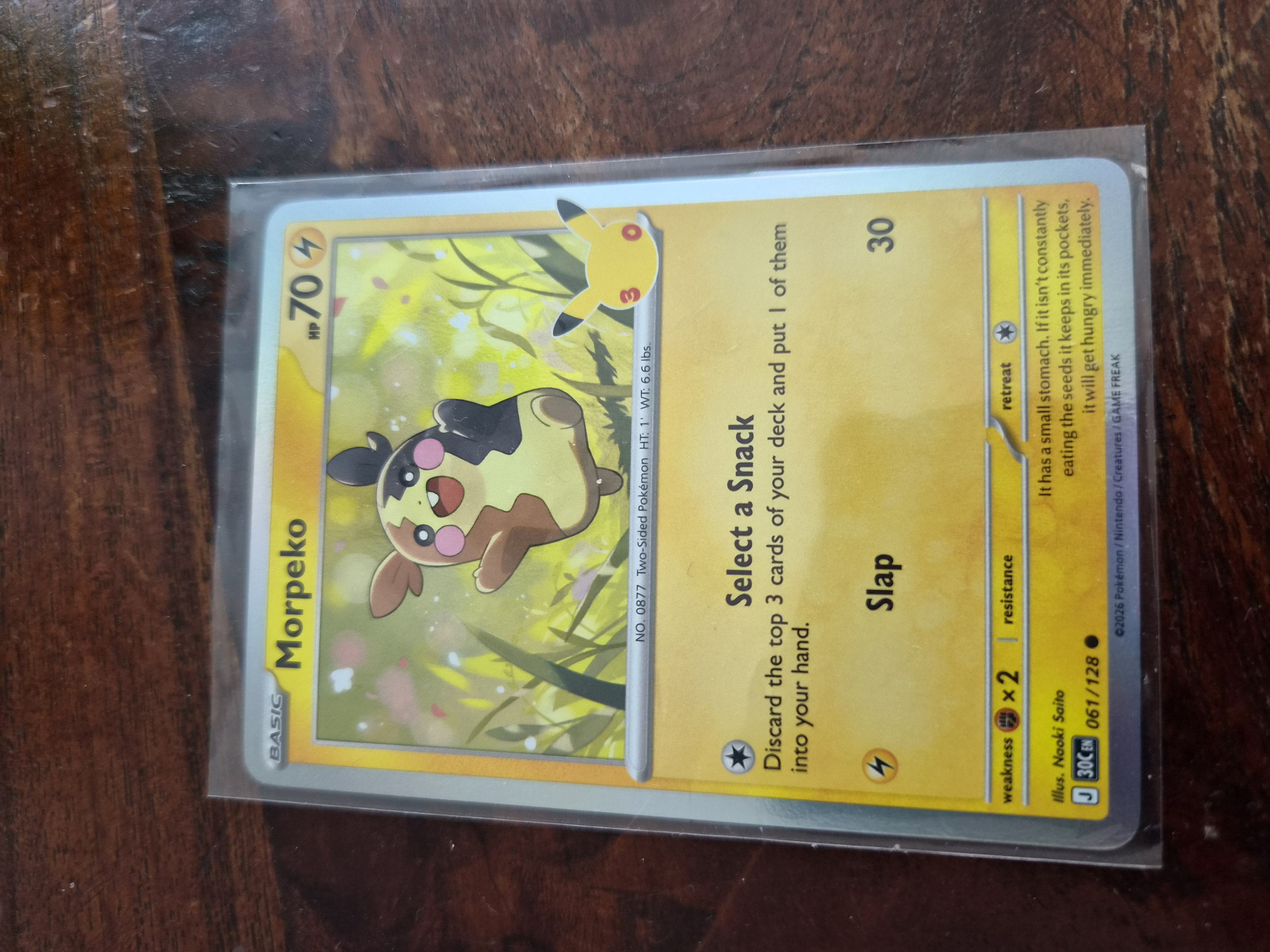 Morpeko foto 1