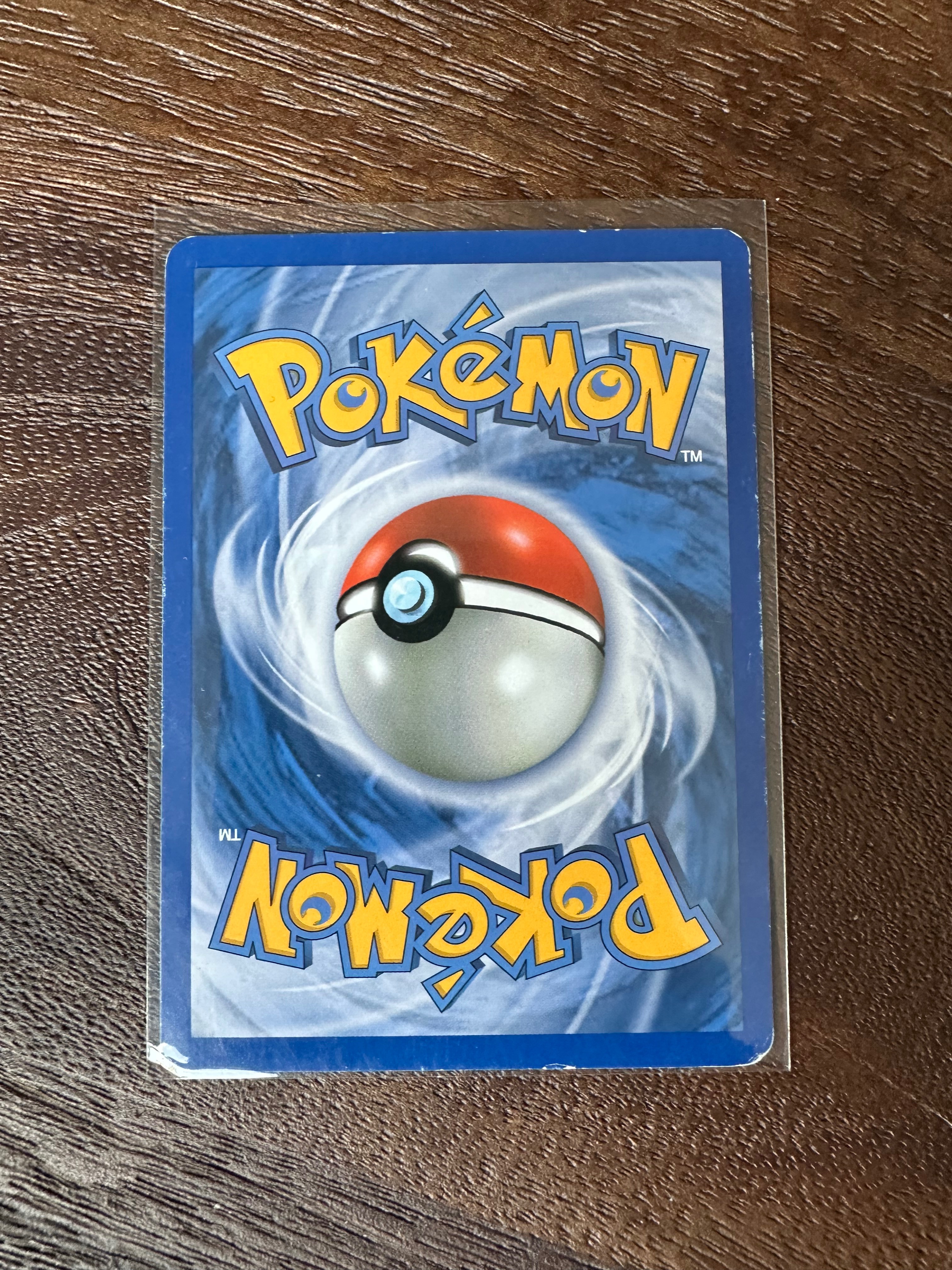 Pachirisu foto 2