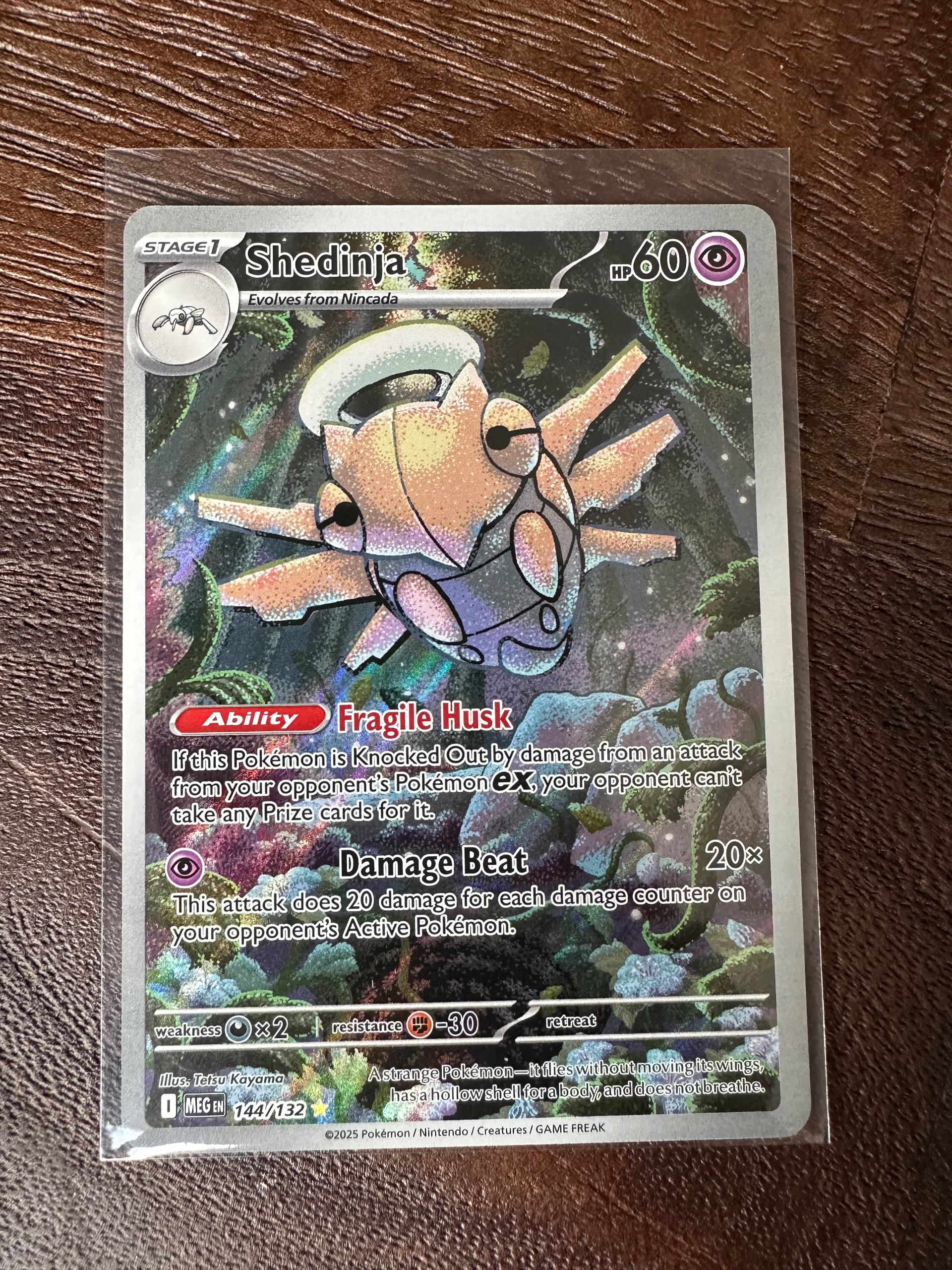 Shedinja foto 1