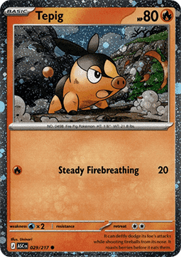 Tepig foto 1