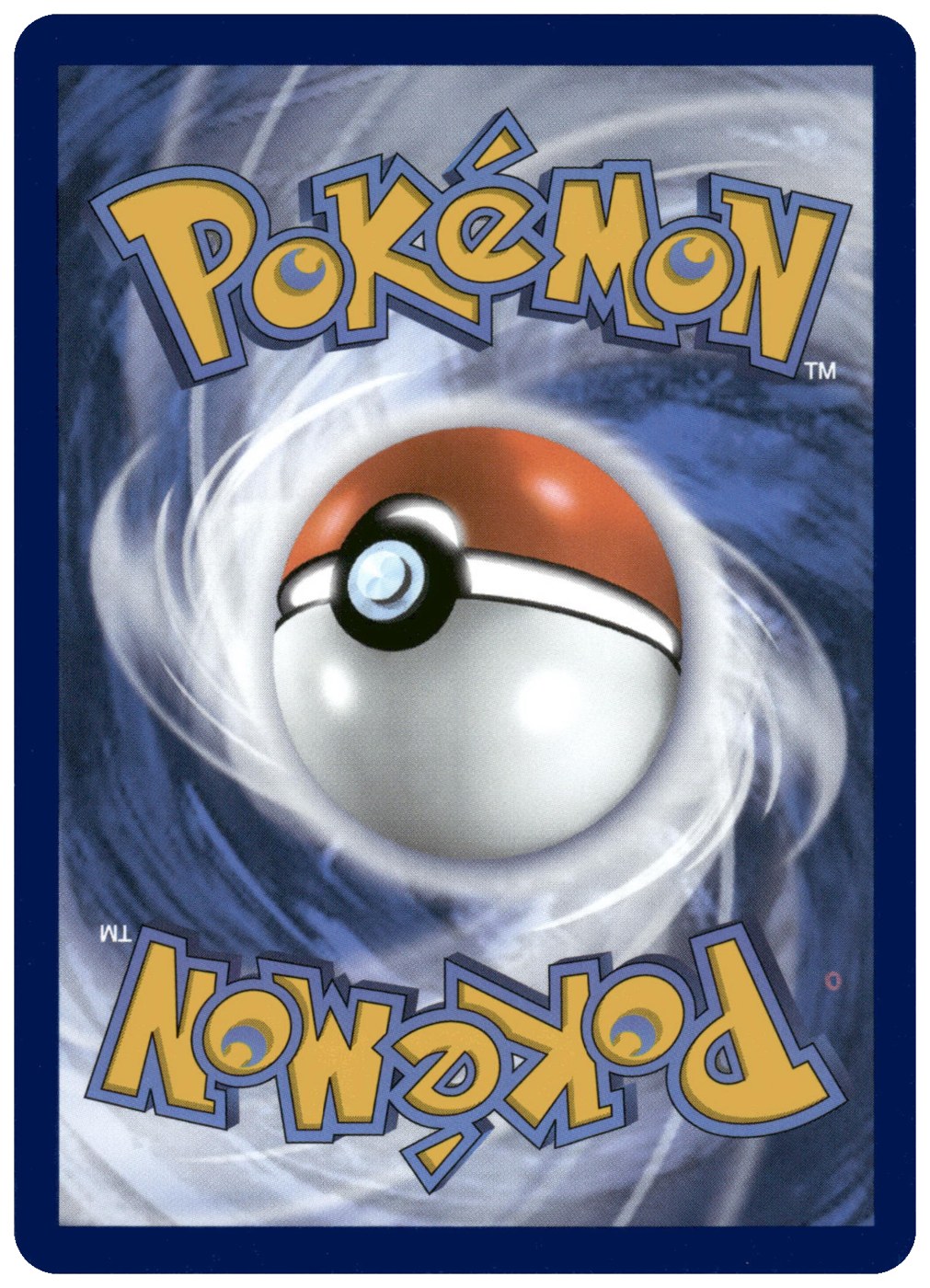 Wartortle foto 2