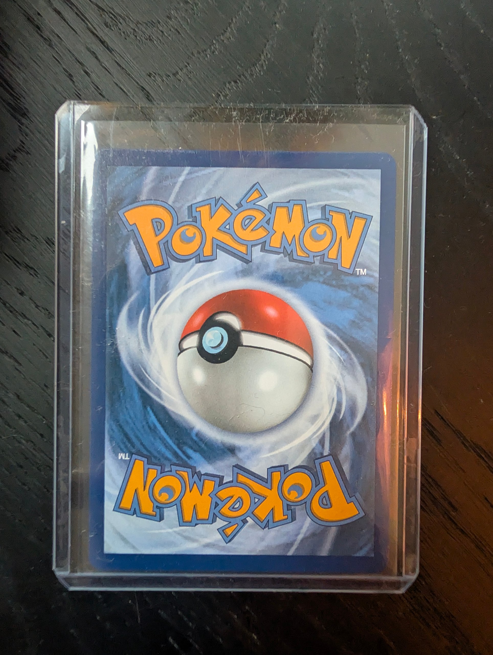 Squirtle foto 2