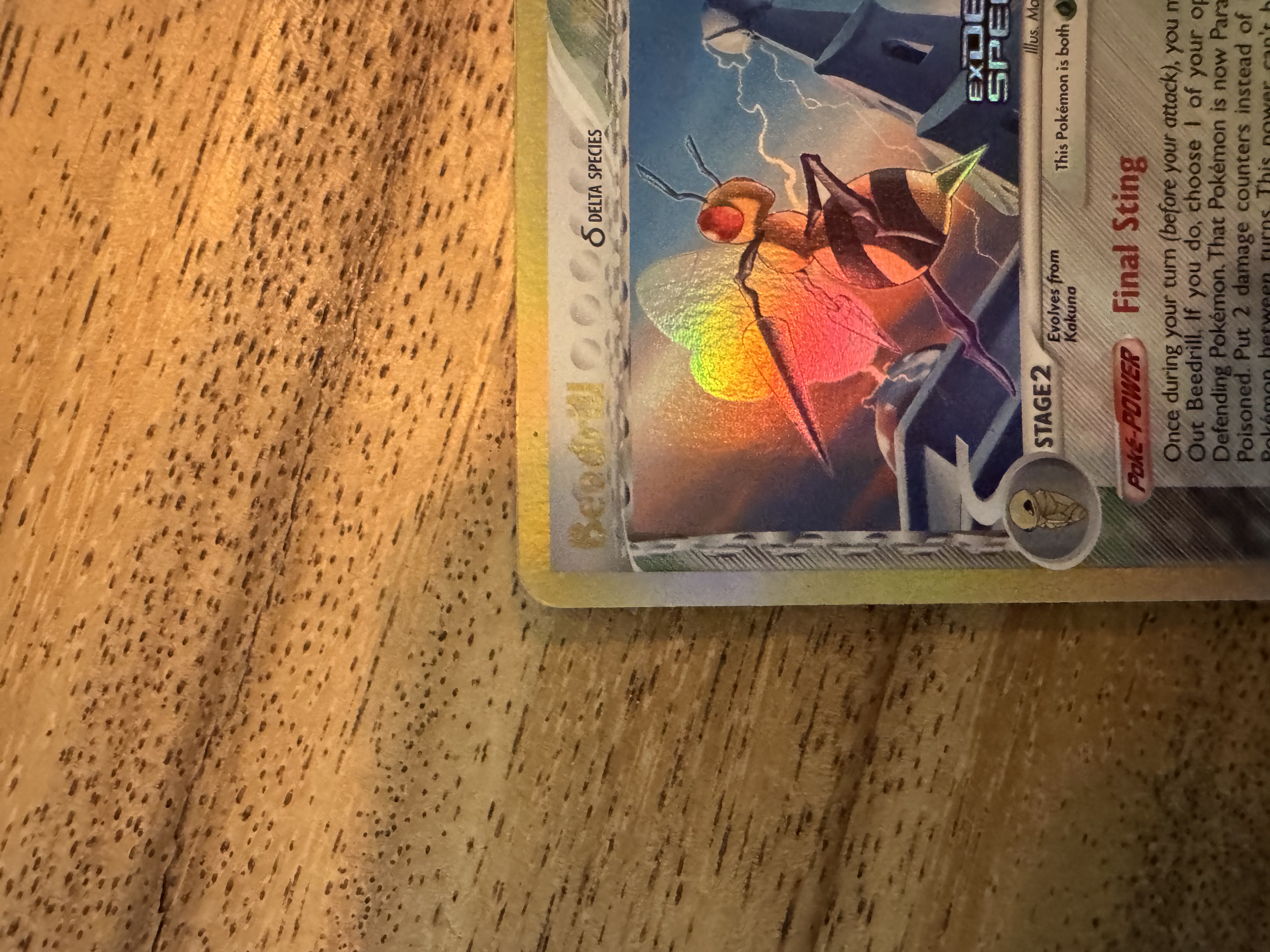 Beedrill δ foto 3