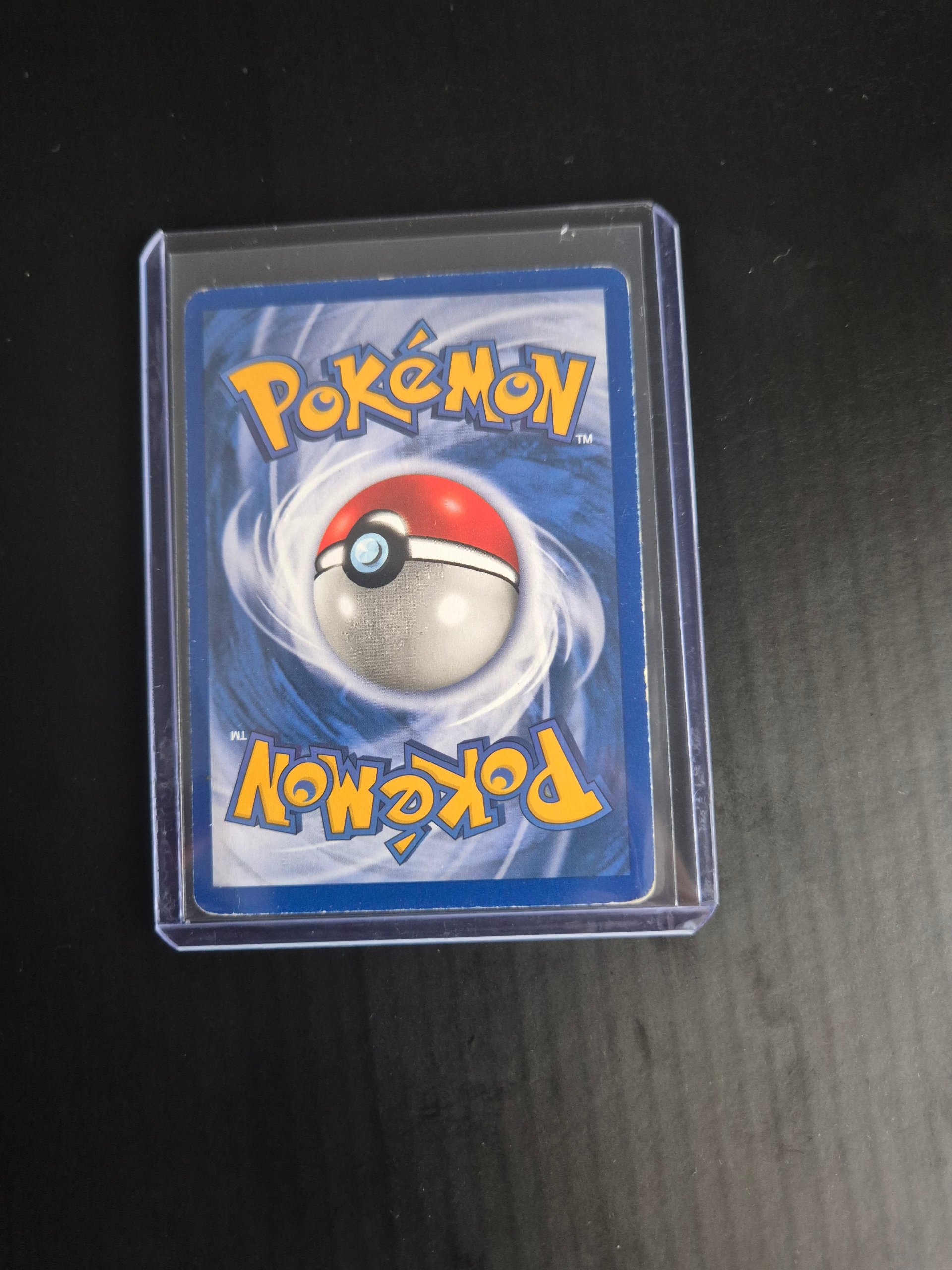 Squirtle foto 2