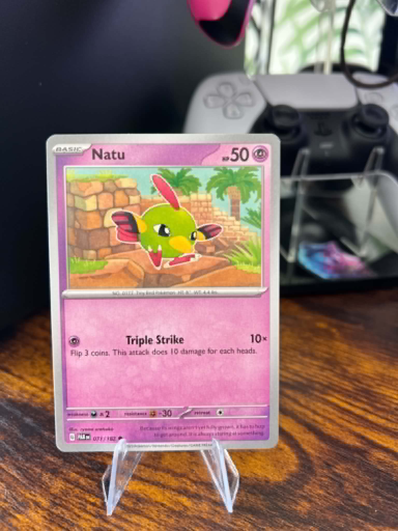 Natu foto 1