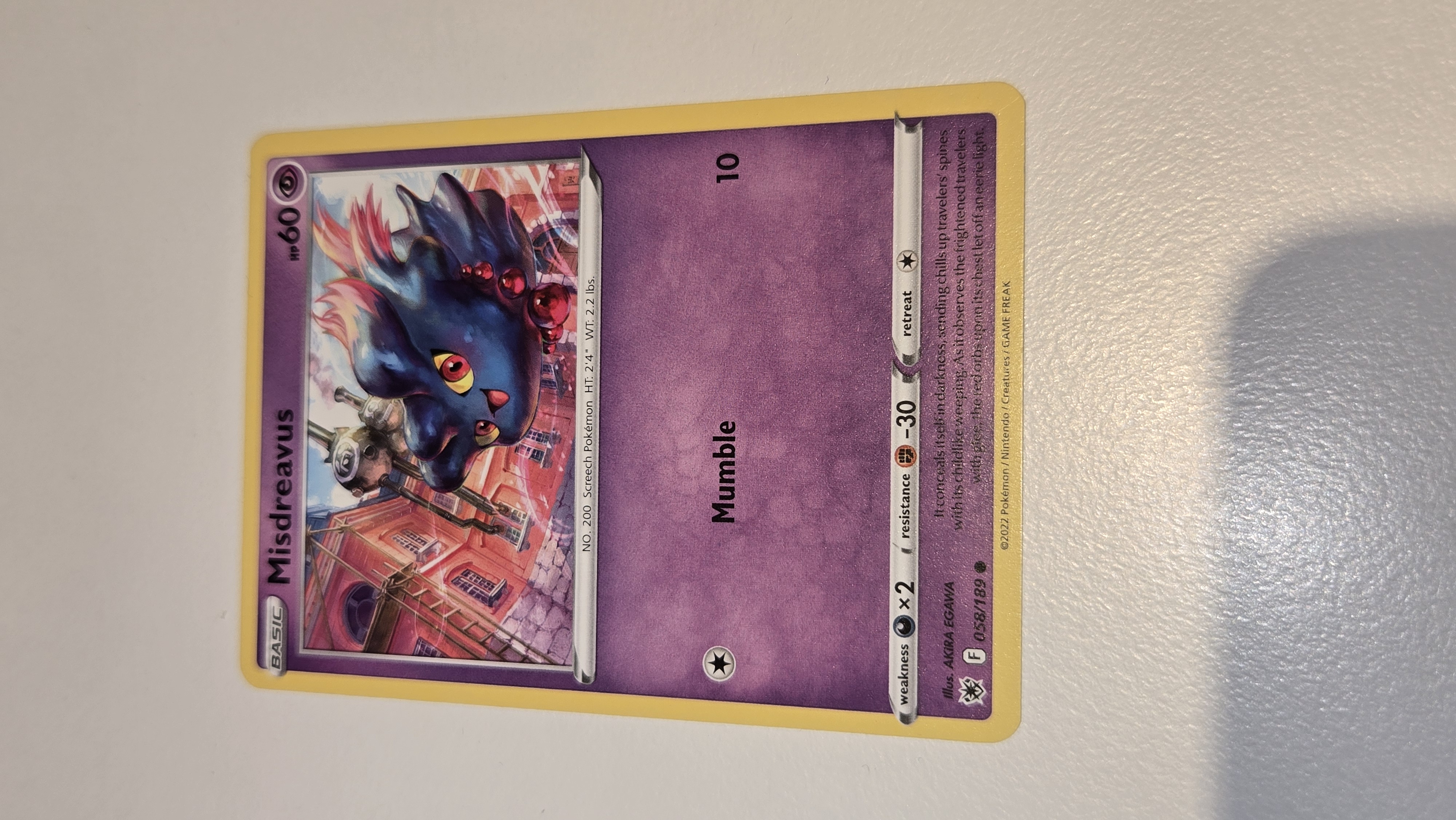 Misdreavus foto 1