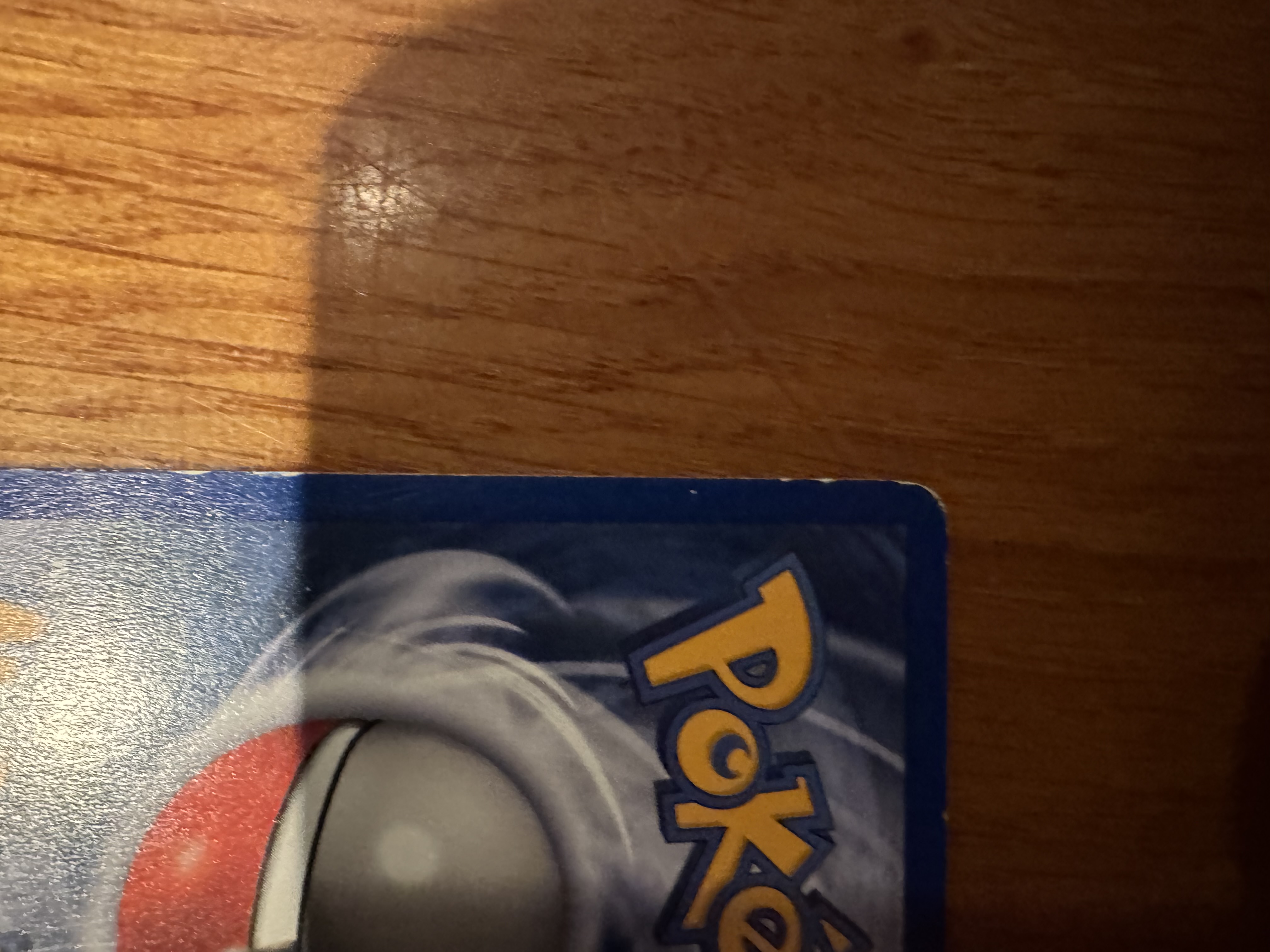 Kangaskhan foto 3