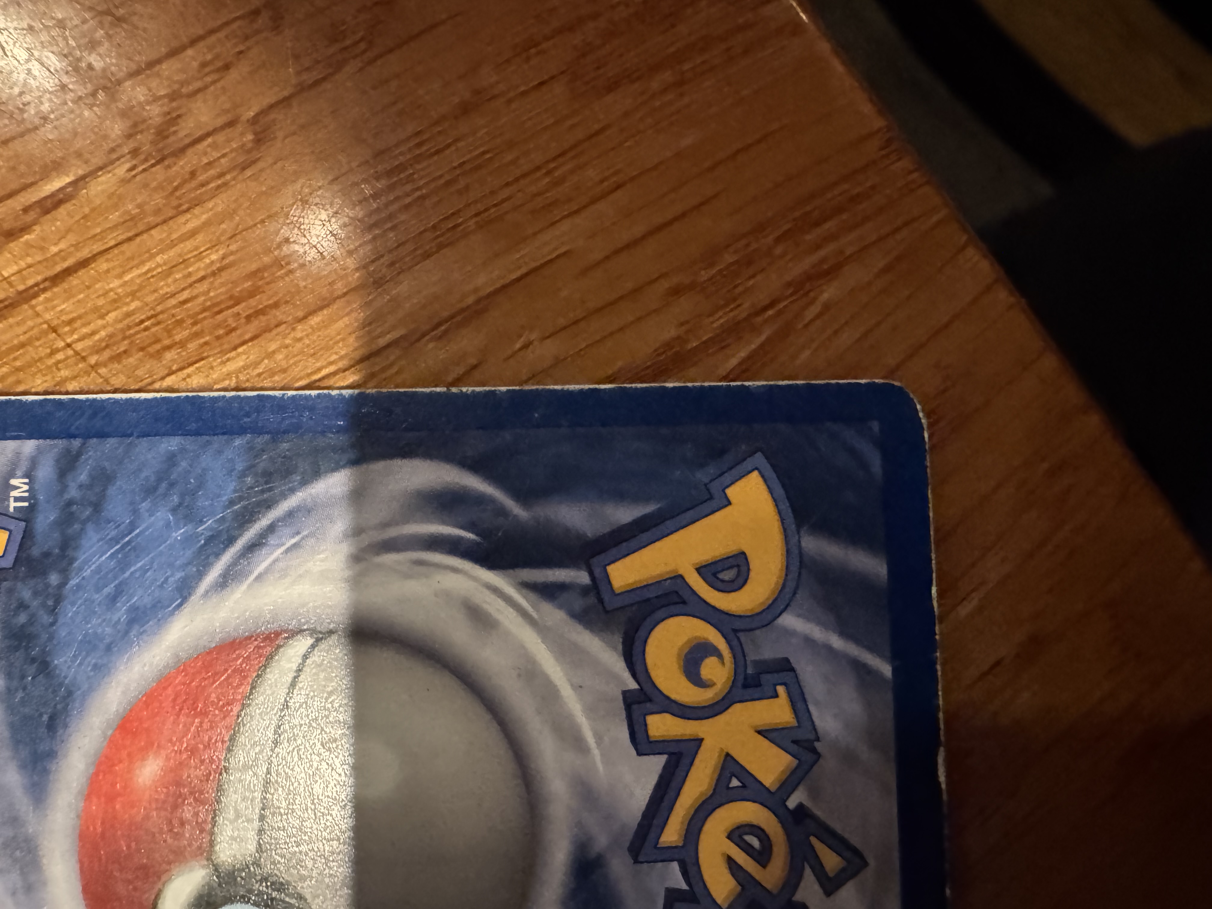Articuno foto 7