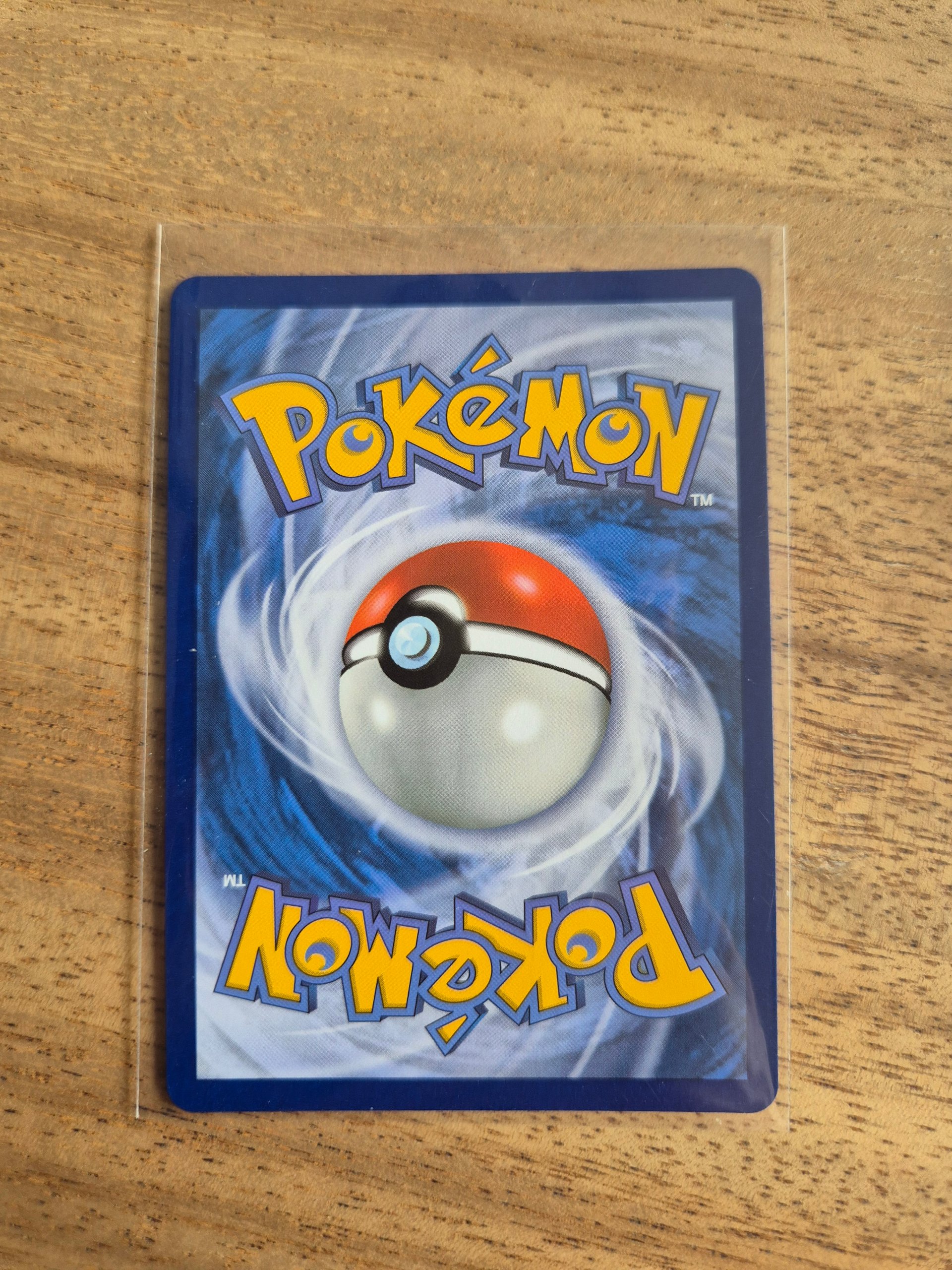 Mega Meganium ex foto 2