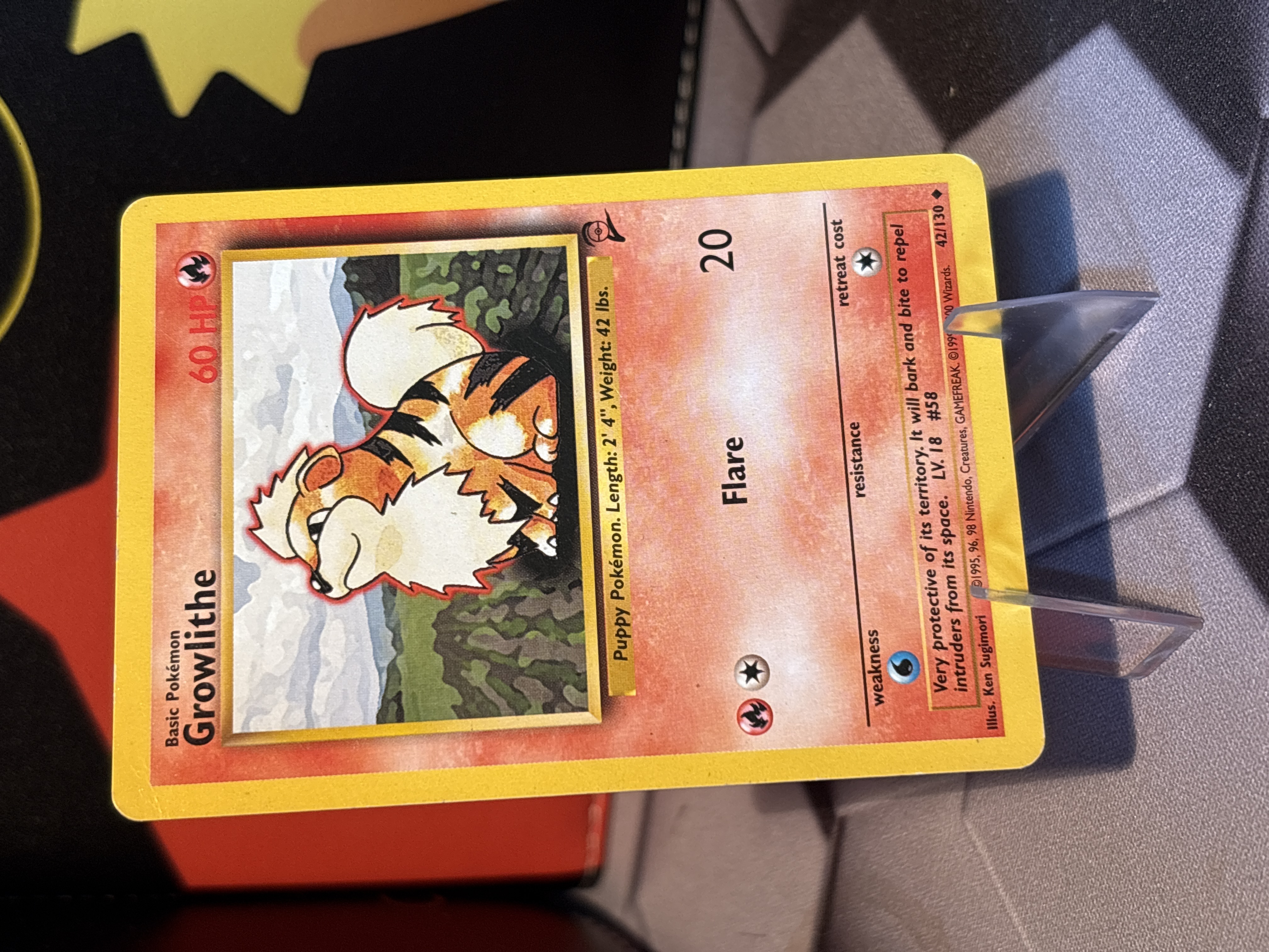 Growlithe foto 1