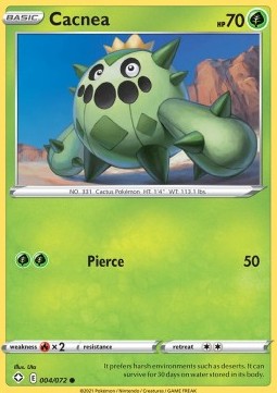 Cacnea foto 1