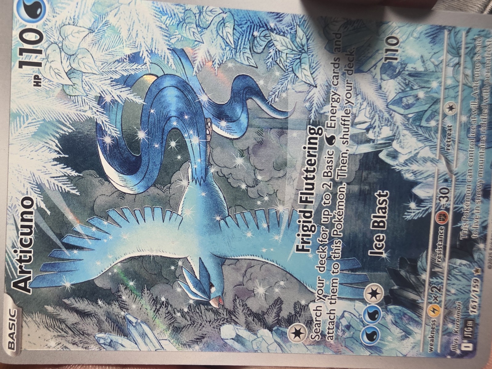 Articuno foto 2