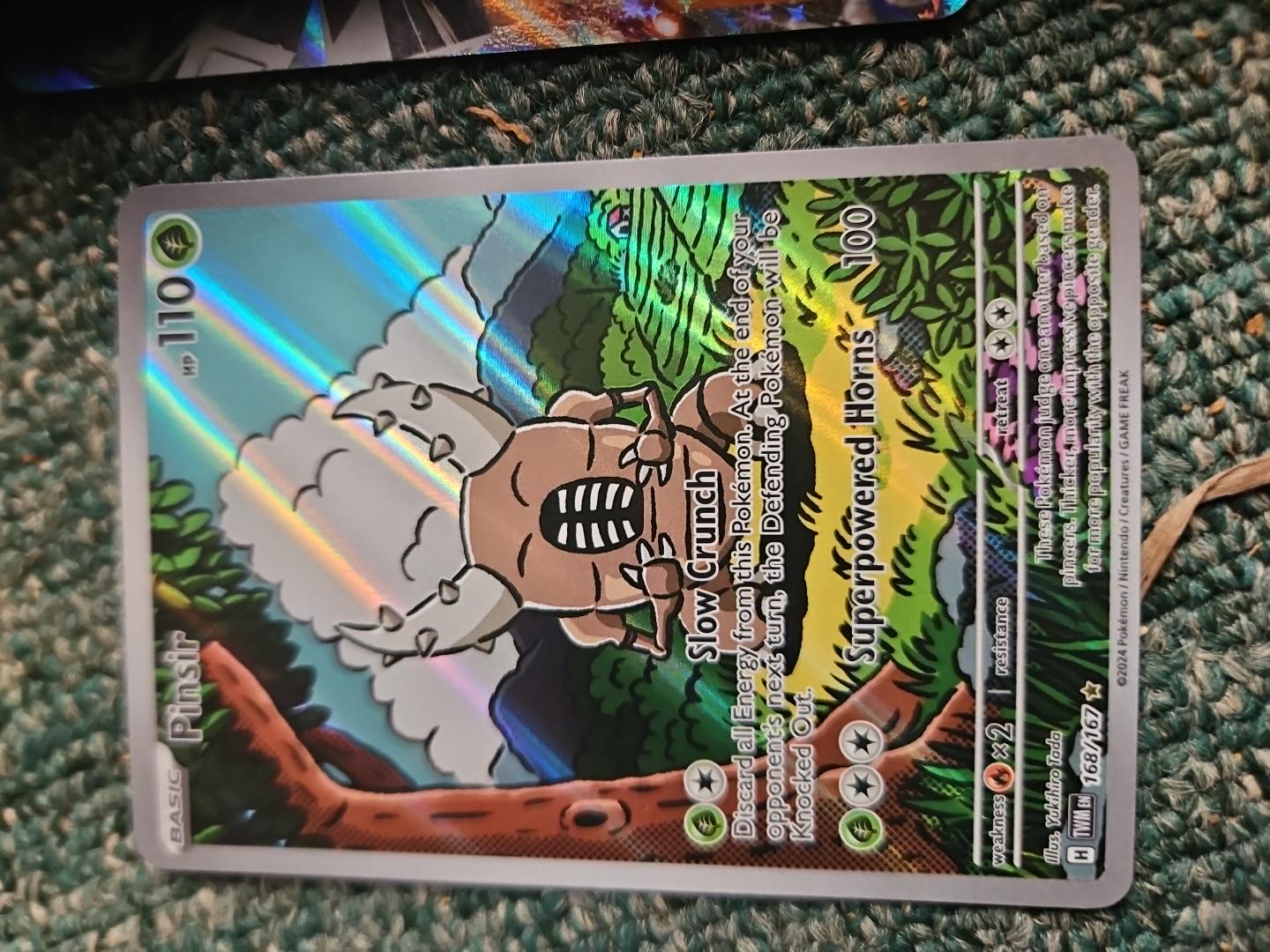 Pinsir foto 1