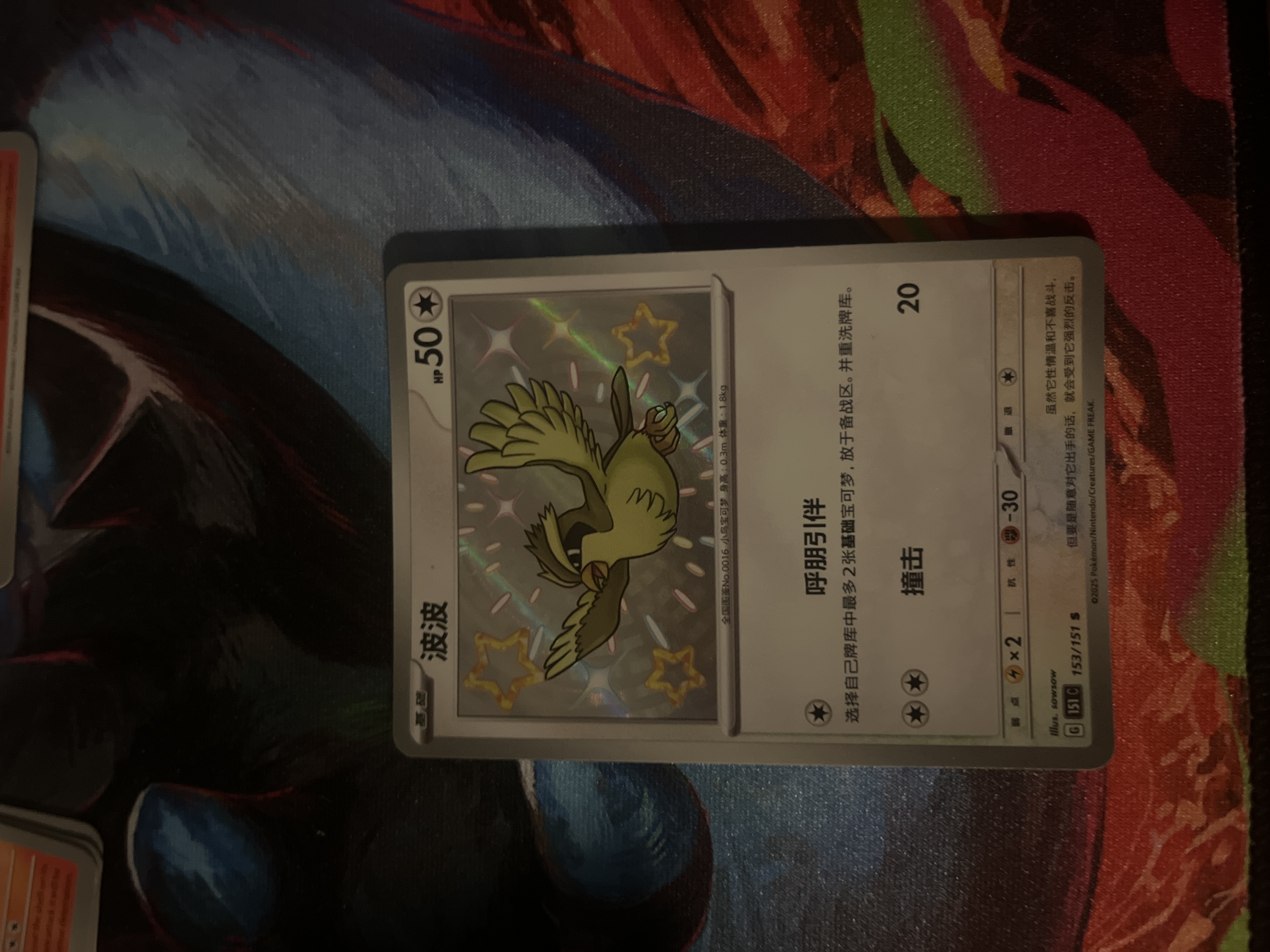 Pidgey foto 1