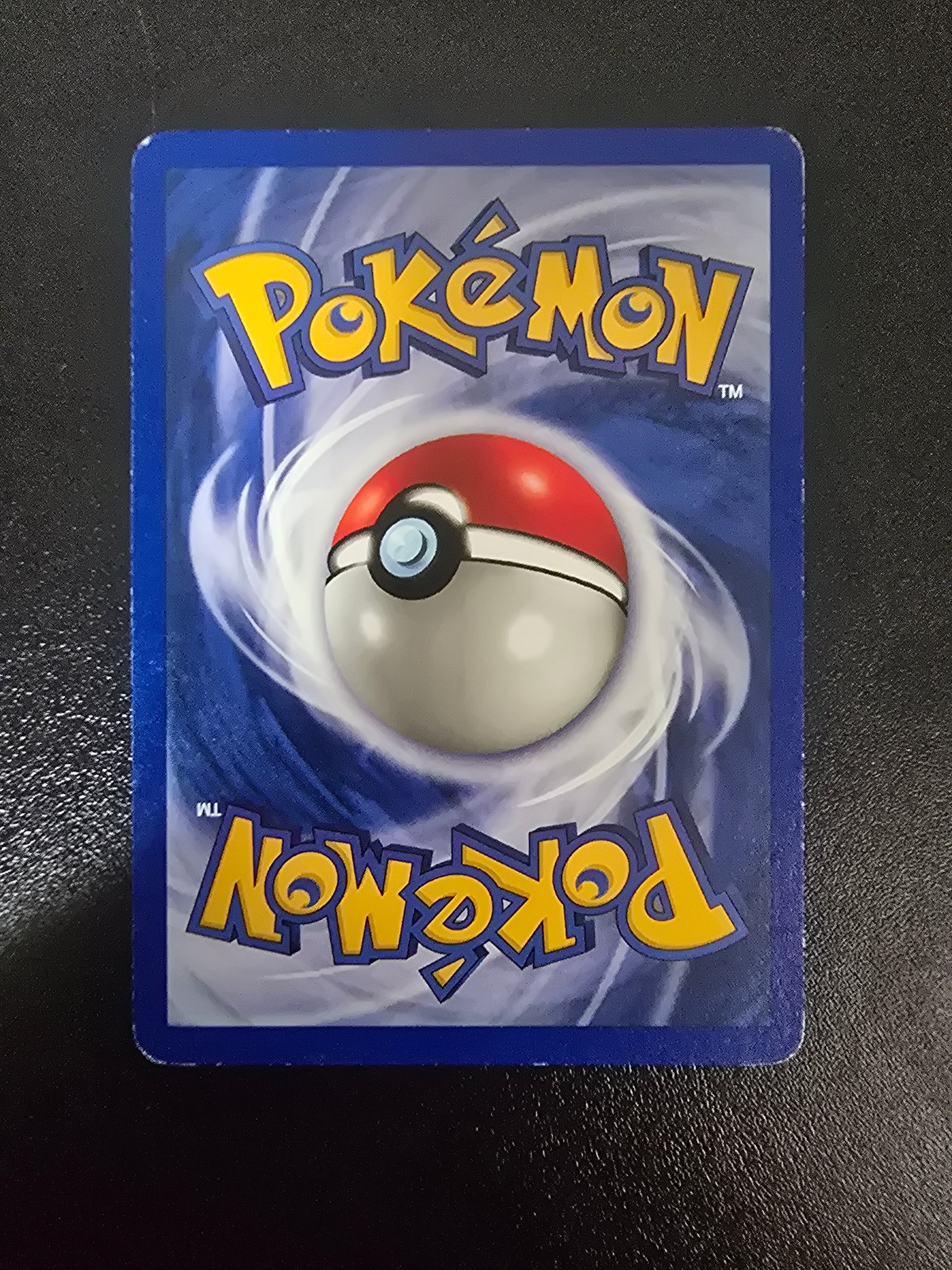 Omanyte foto 2