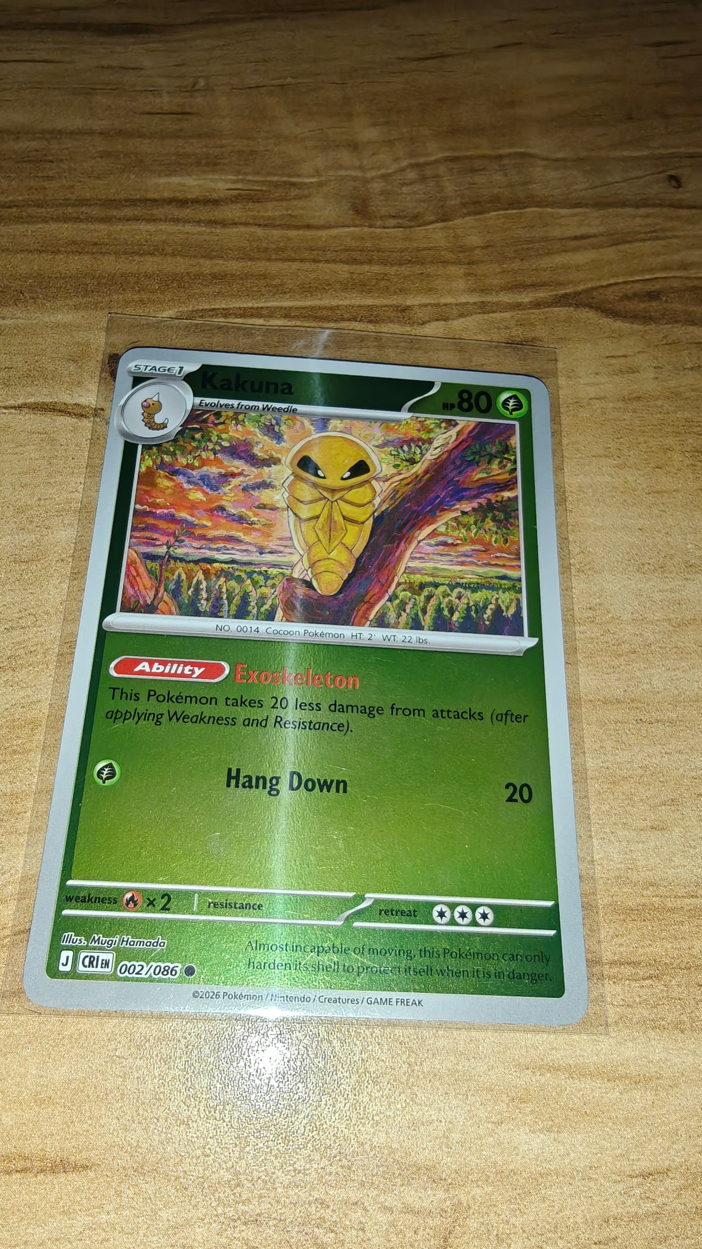 Kakuna foto 2