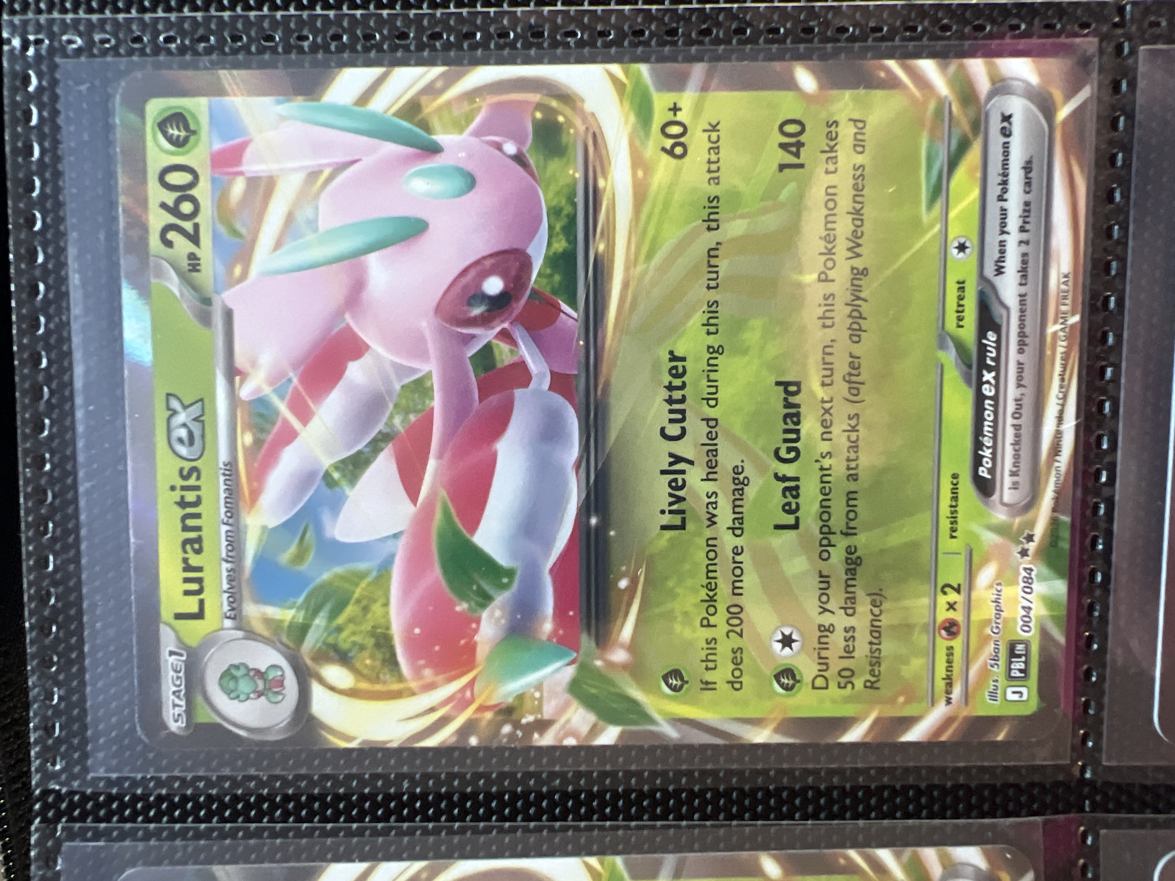 Lurantis ex foto 2