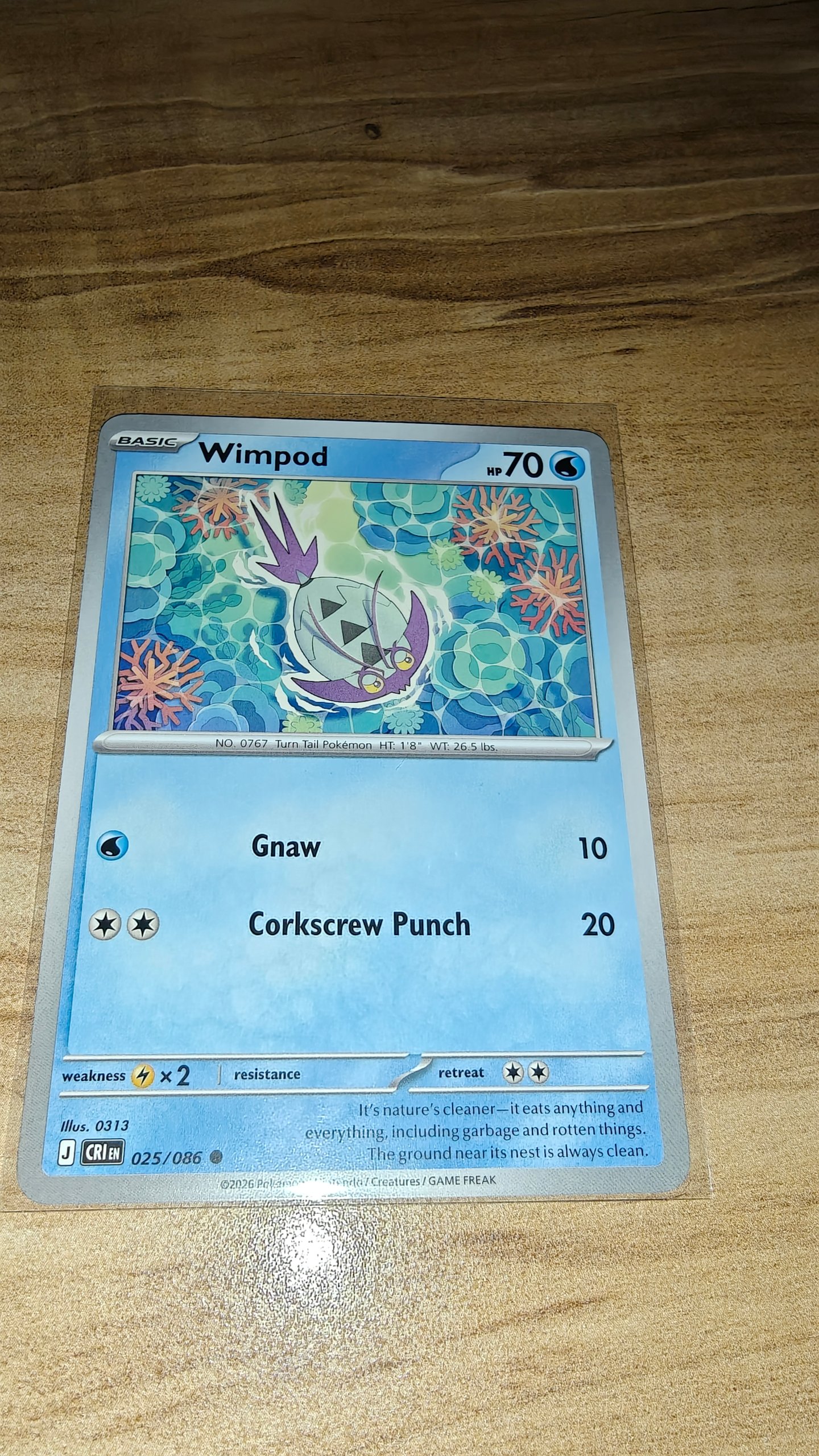 Wimpod foto 2
