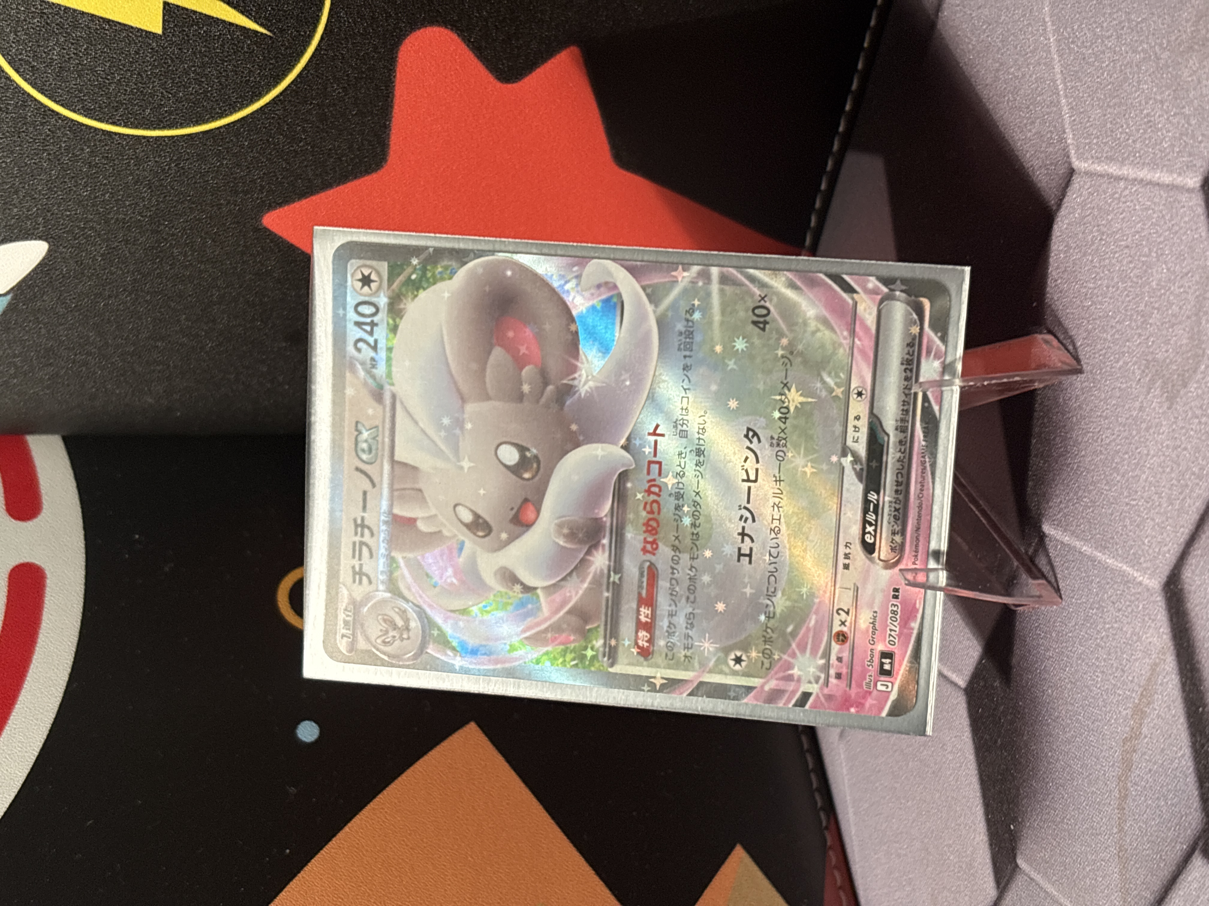Cinccino ex foto 1