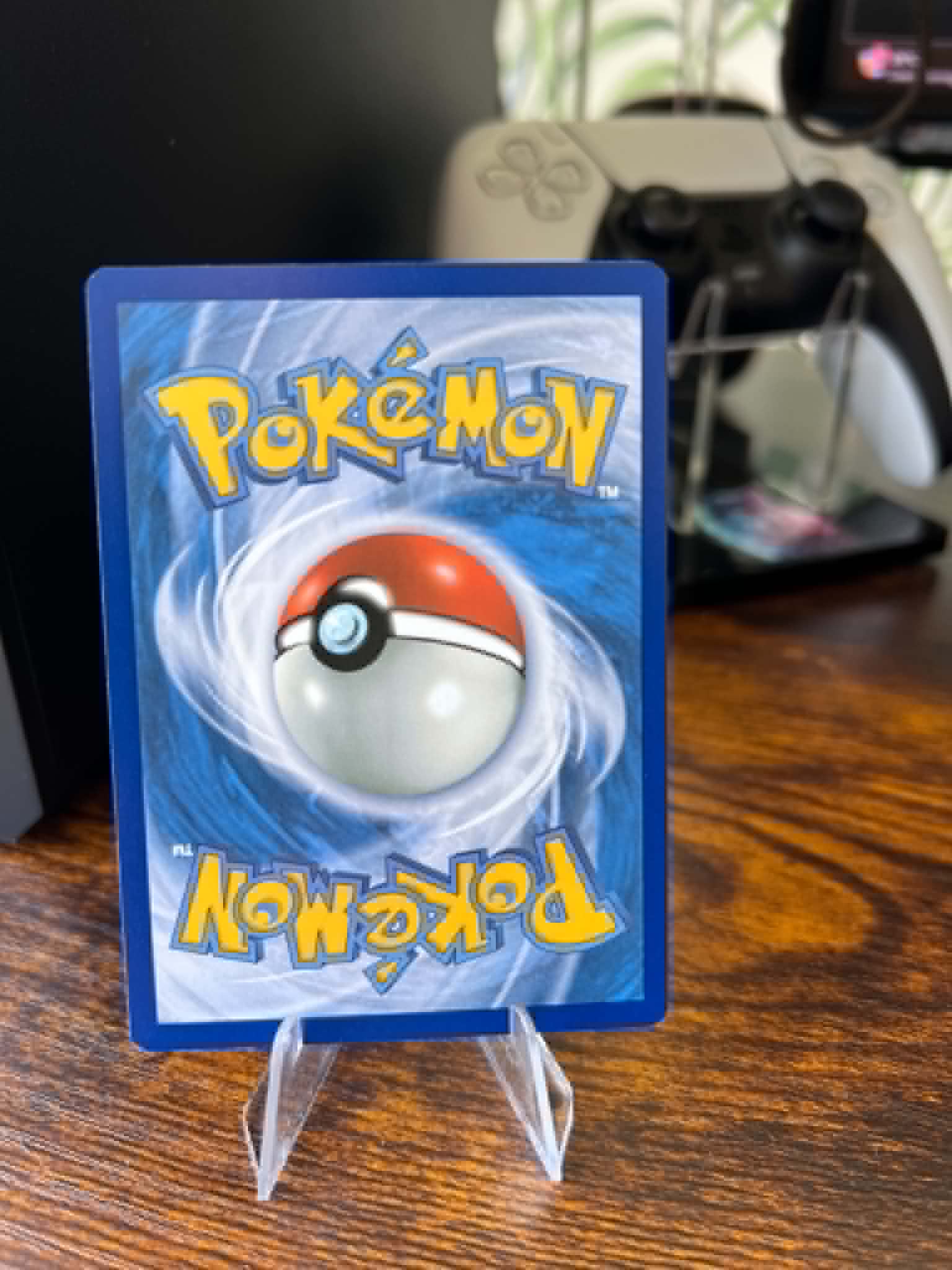 Whismur foto 2