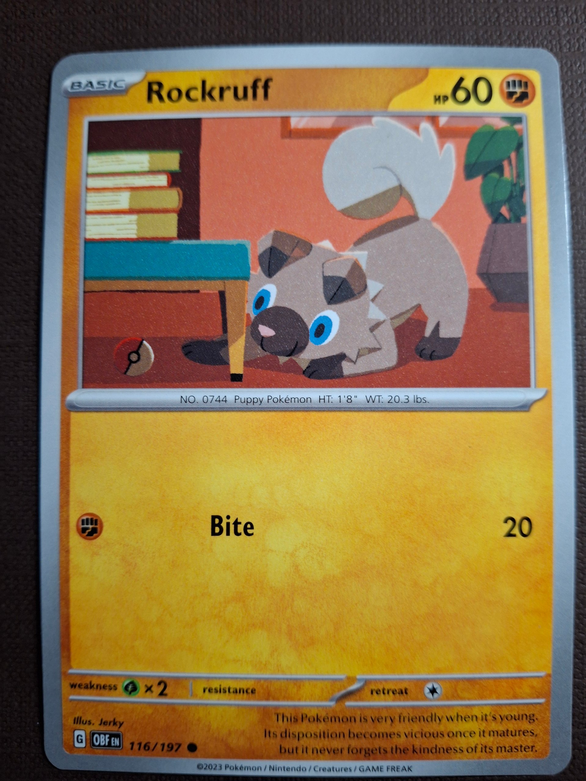 Rockruff foto 1