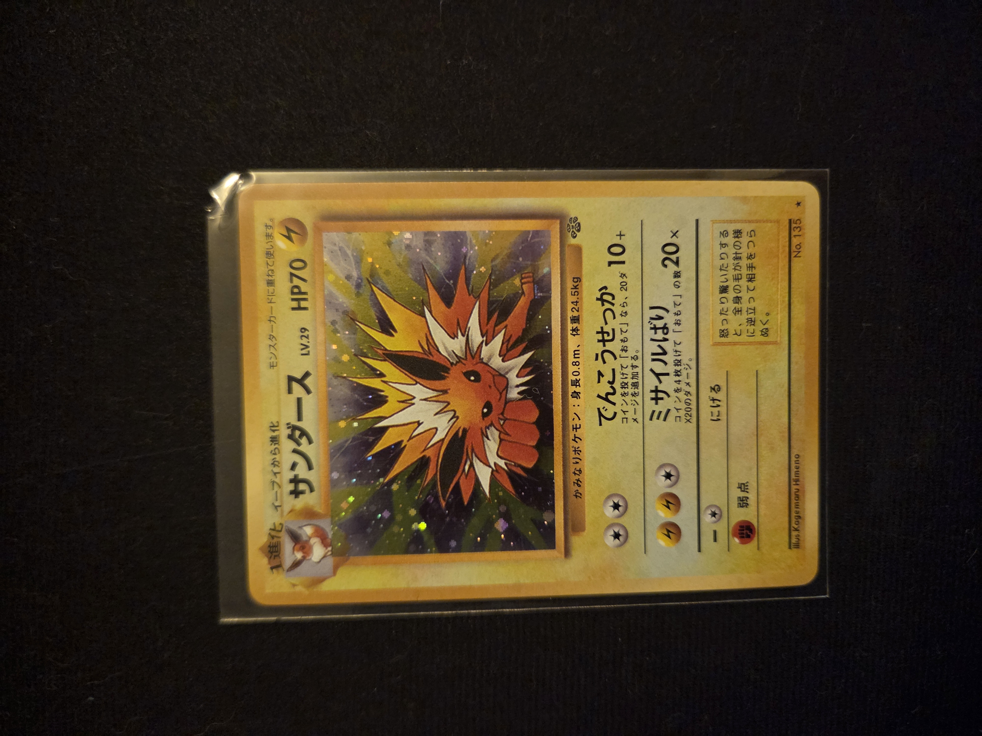 Jolteon foto 1