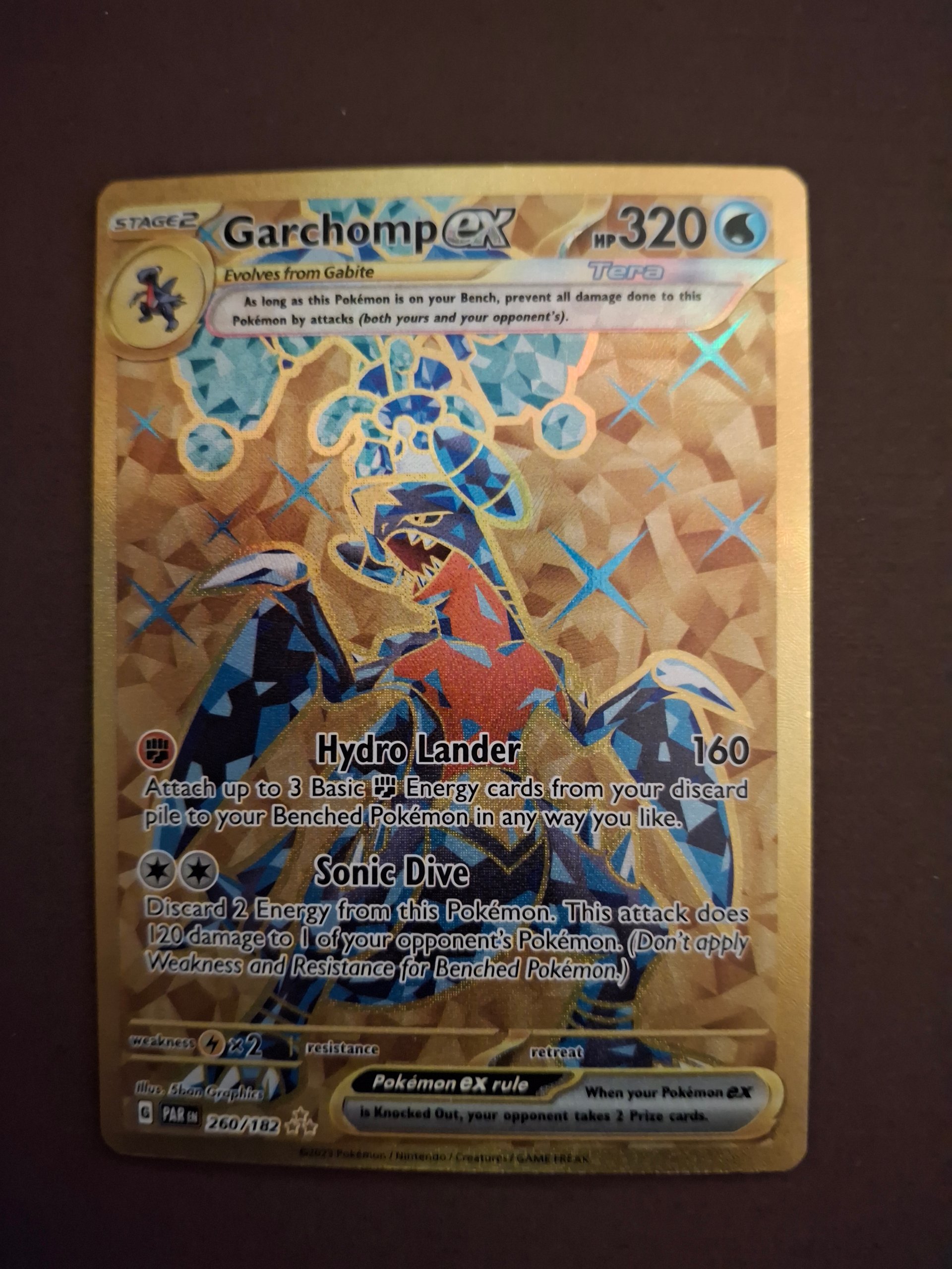 Garchomp ex foto 1