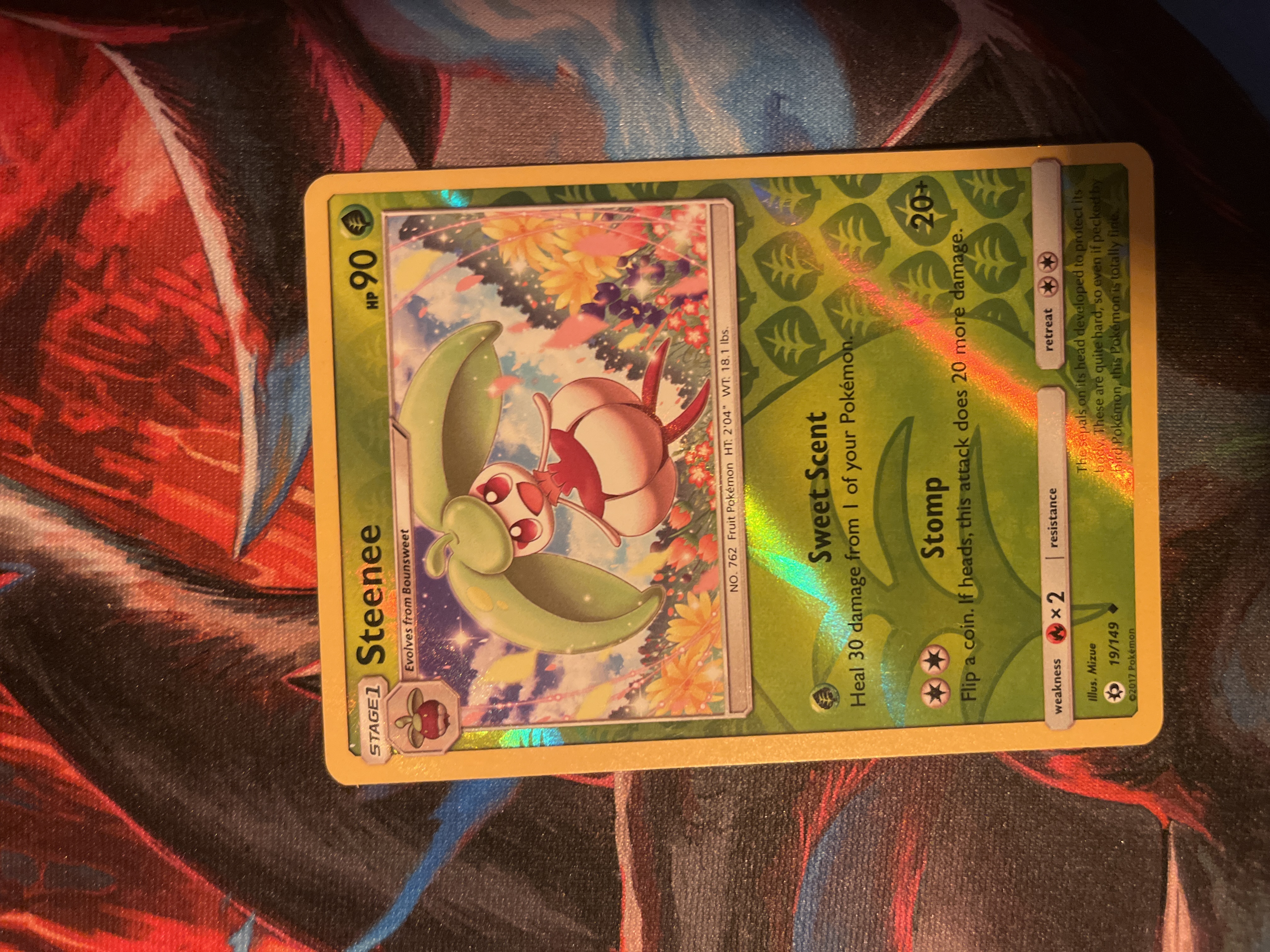 Steenee foto 1